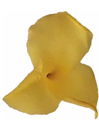 Metabolites 11 00594 i003