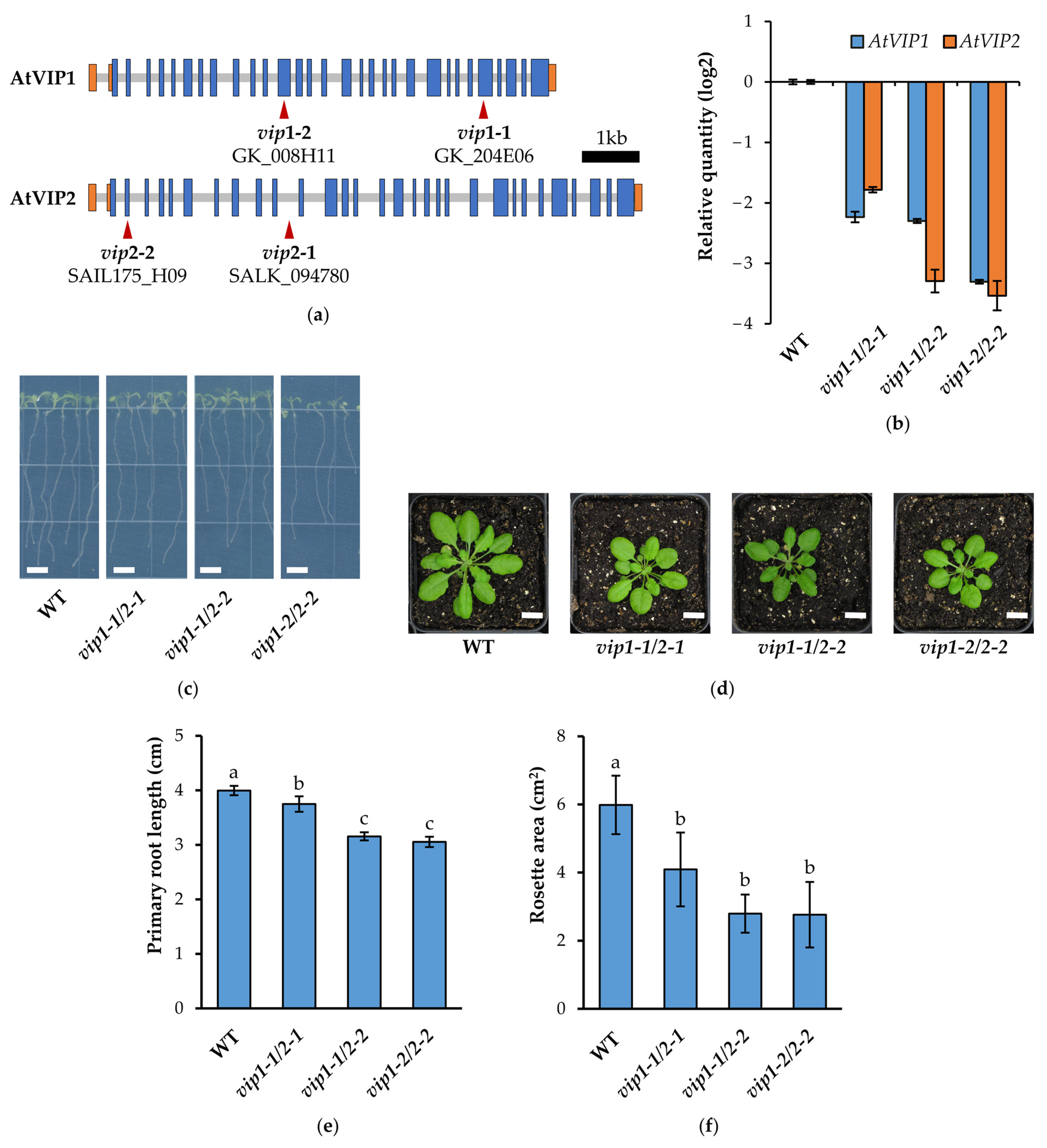 Metabolites 11 00601 g001 Metabolites 11 00601 g001