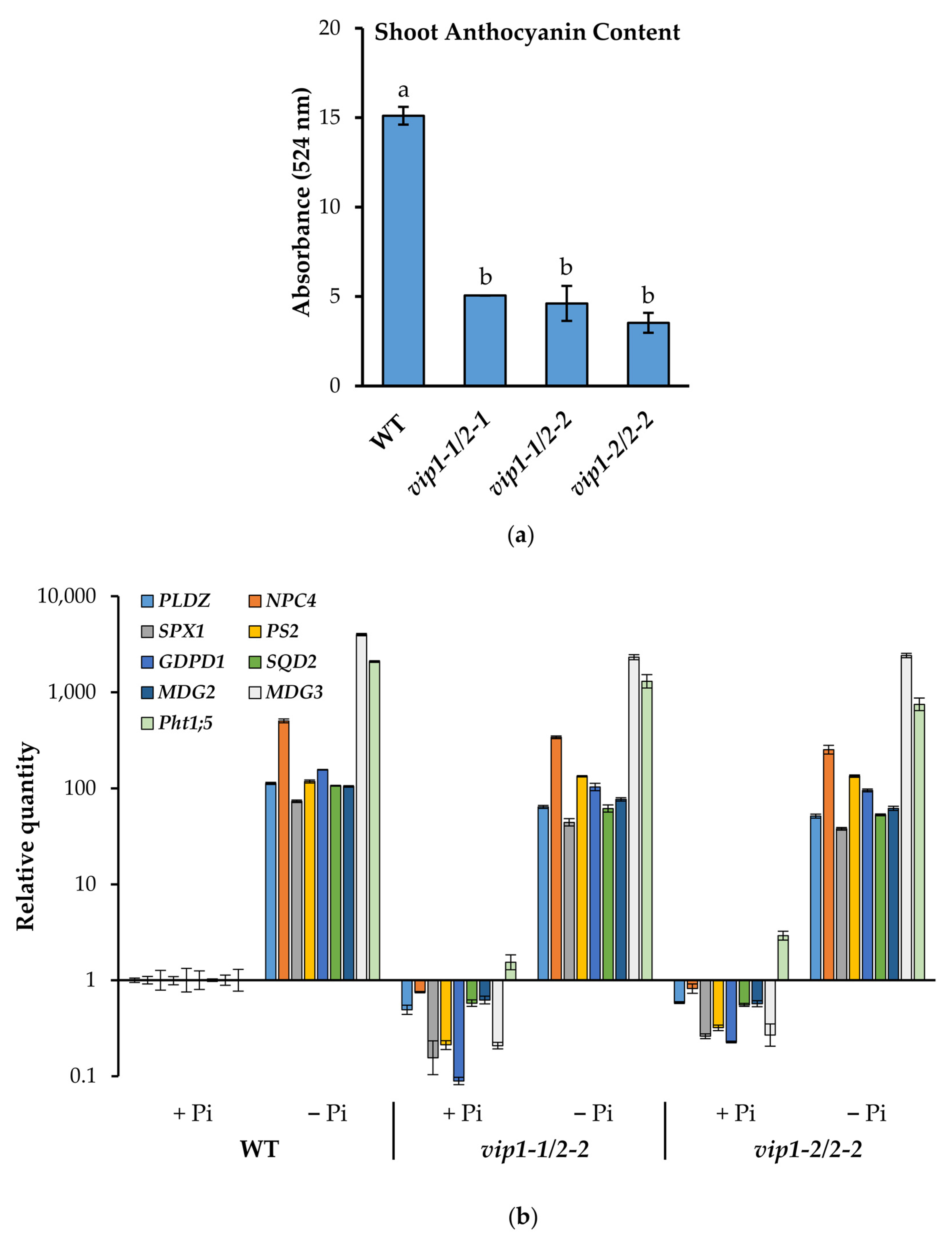 Metabolites 11 00601 g005 Metabolites 11 00601 g005