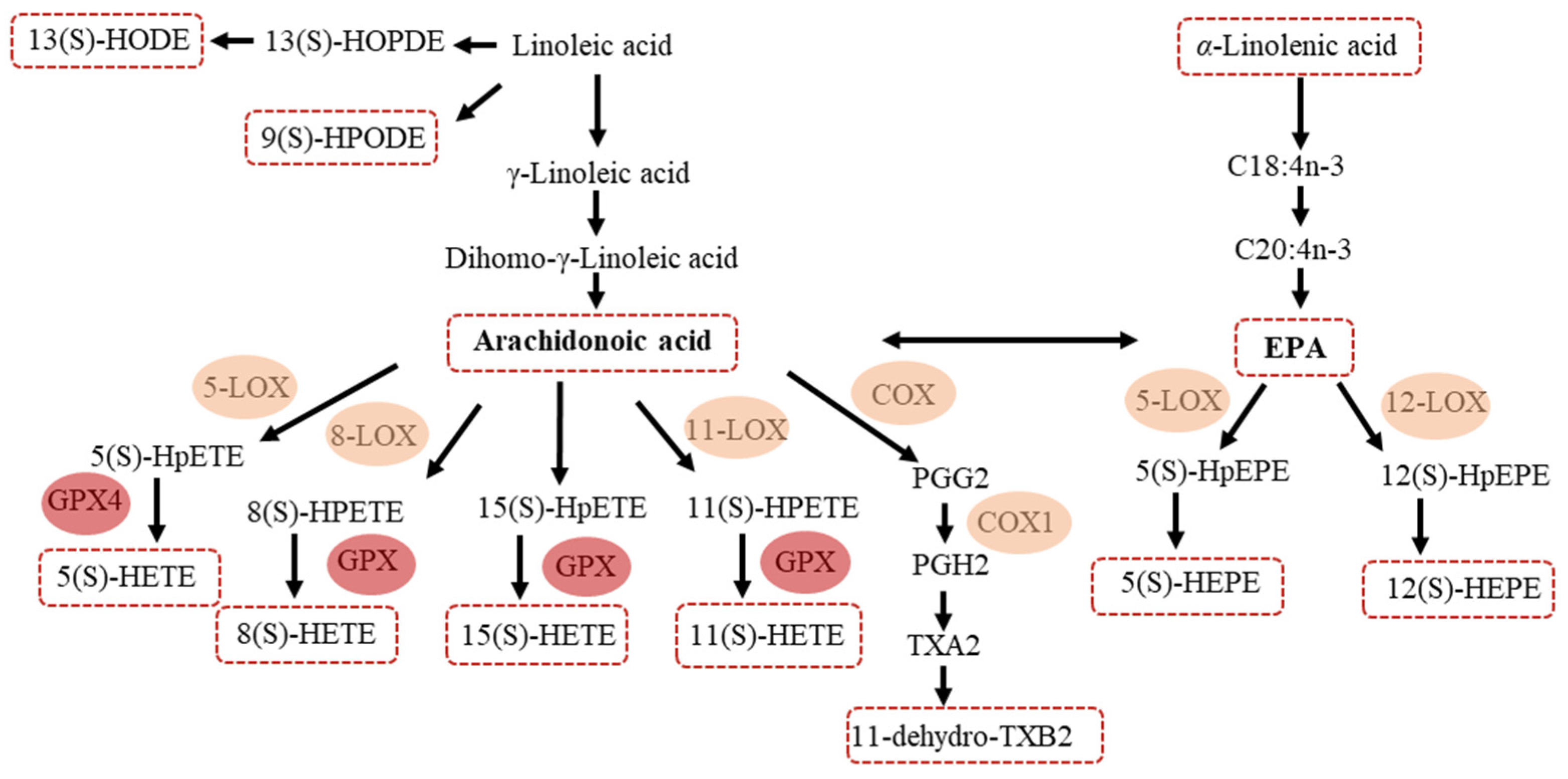 Metabolites 11 00613 g004