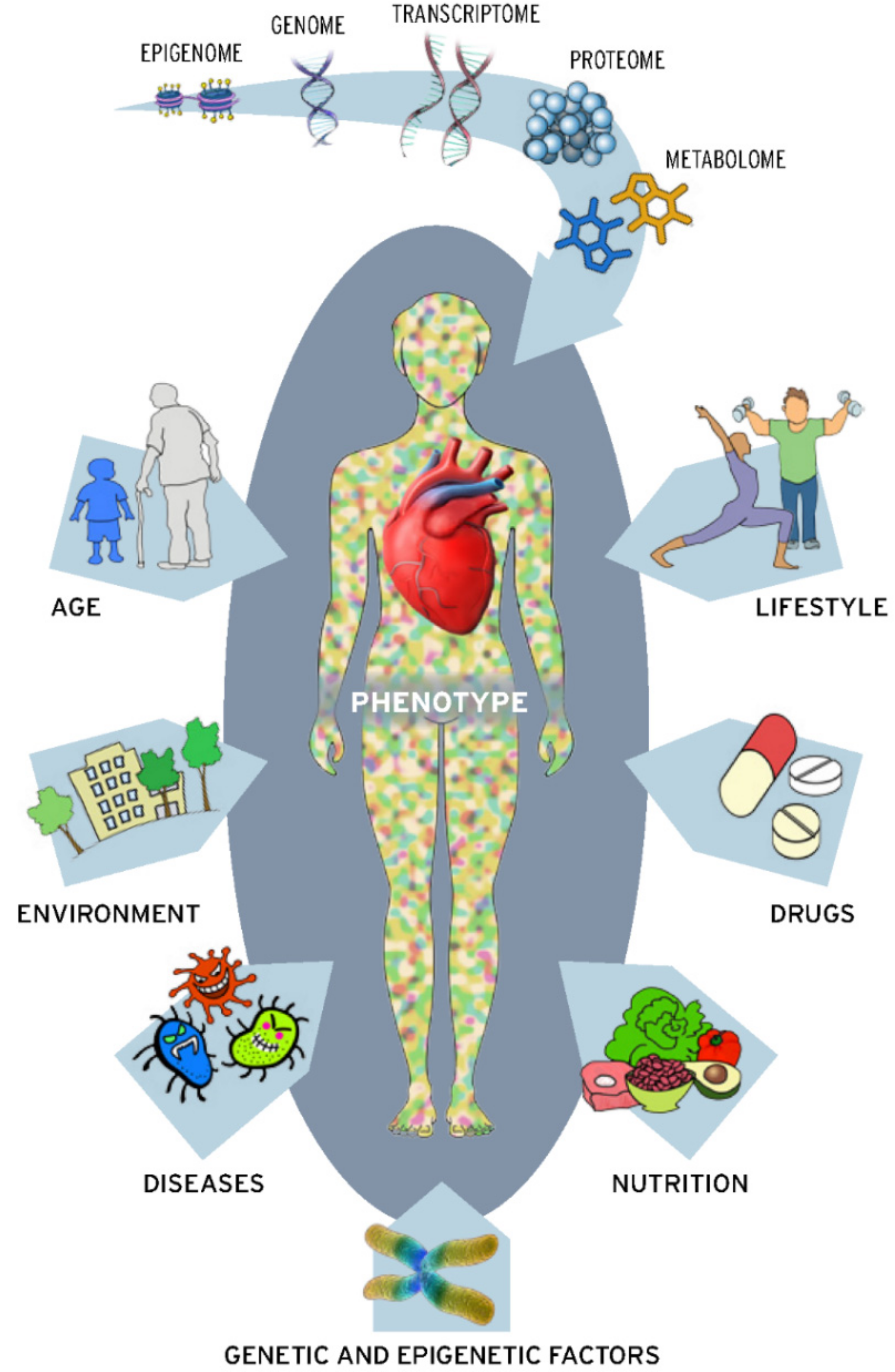 Metabolites 11 00621 g001