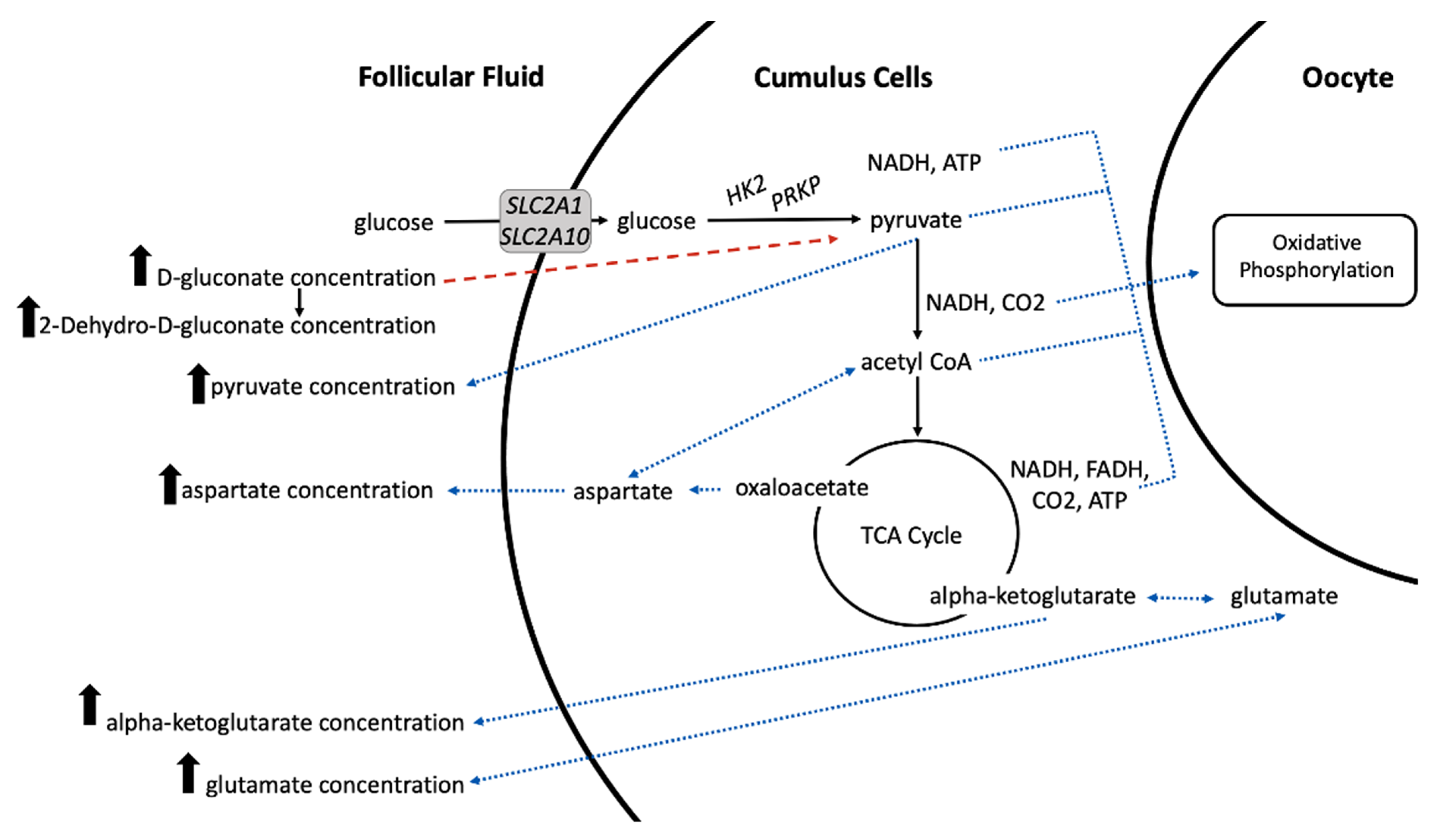 Metabolites 11 00623 g004