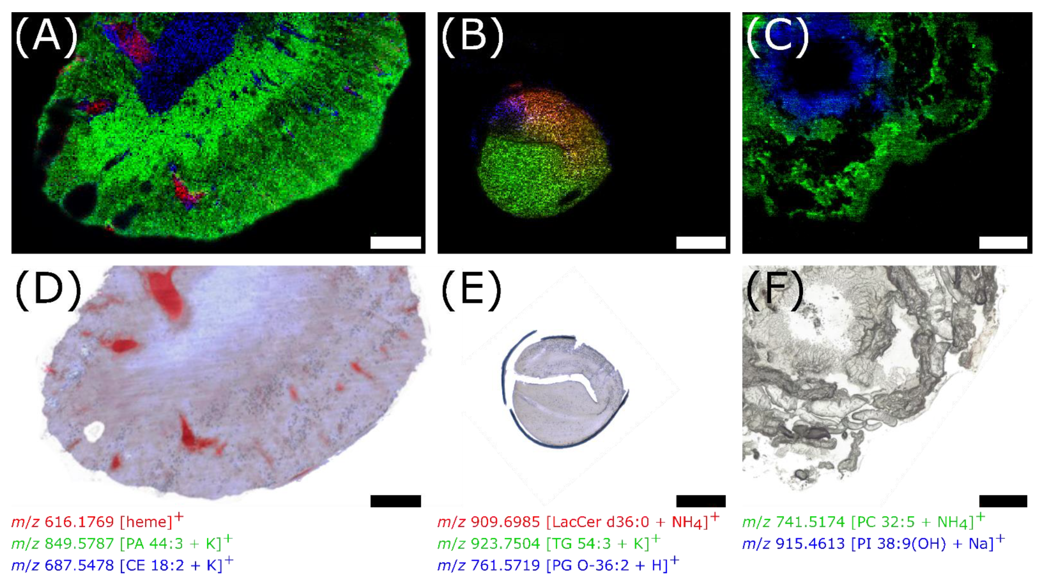 Metabolites 11 00624 g005