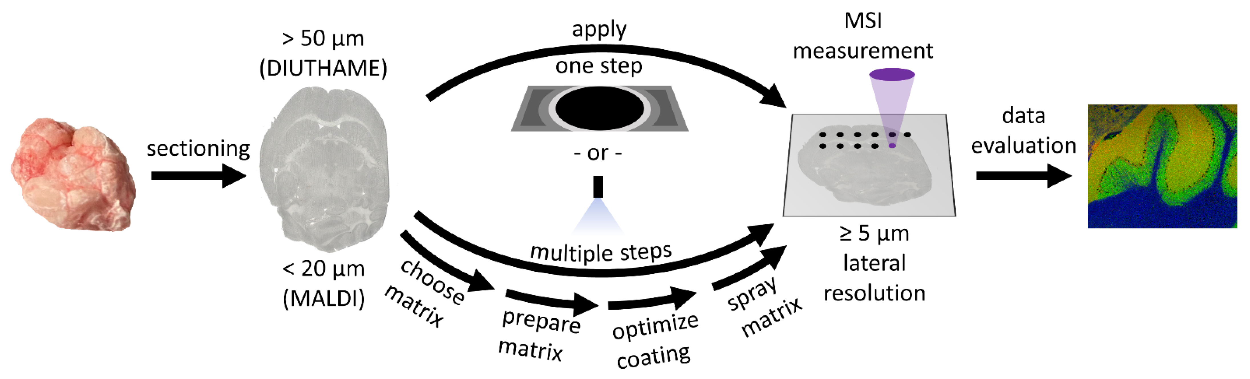 Metabolites 11 00624 g006