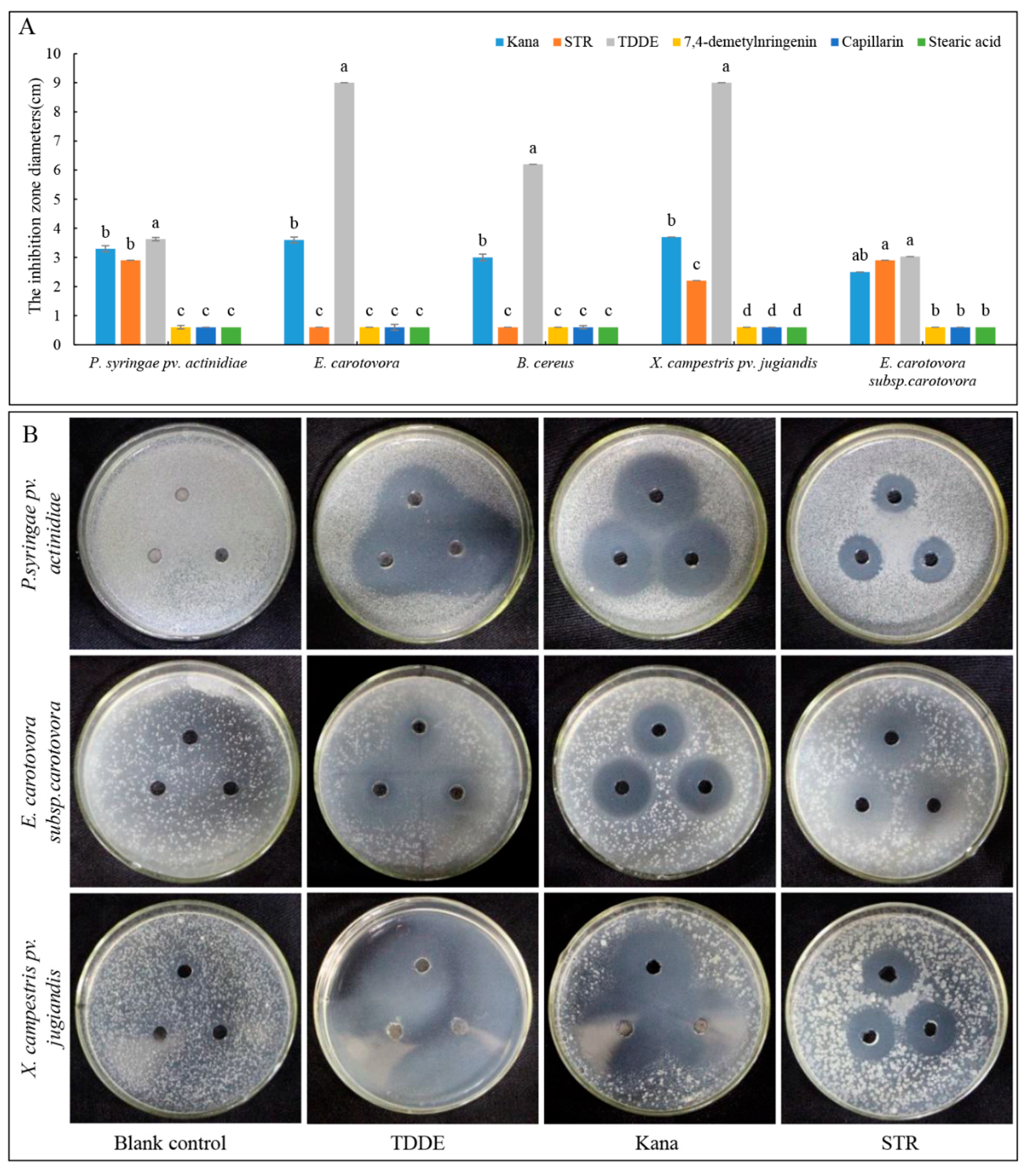 Metabolites 11 00629 g007 Metabolites 11 00629 g007