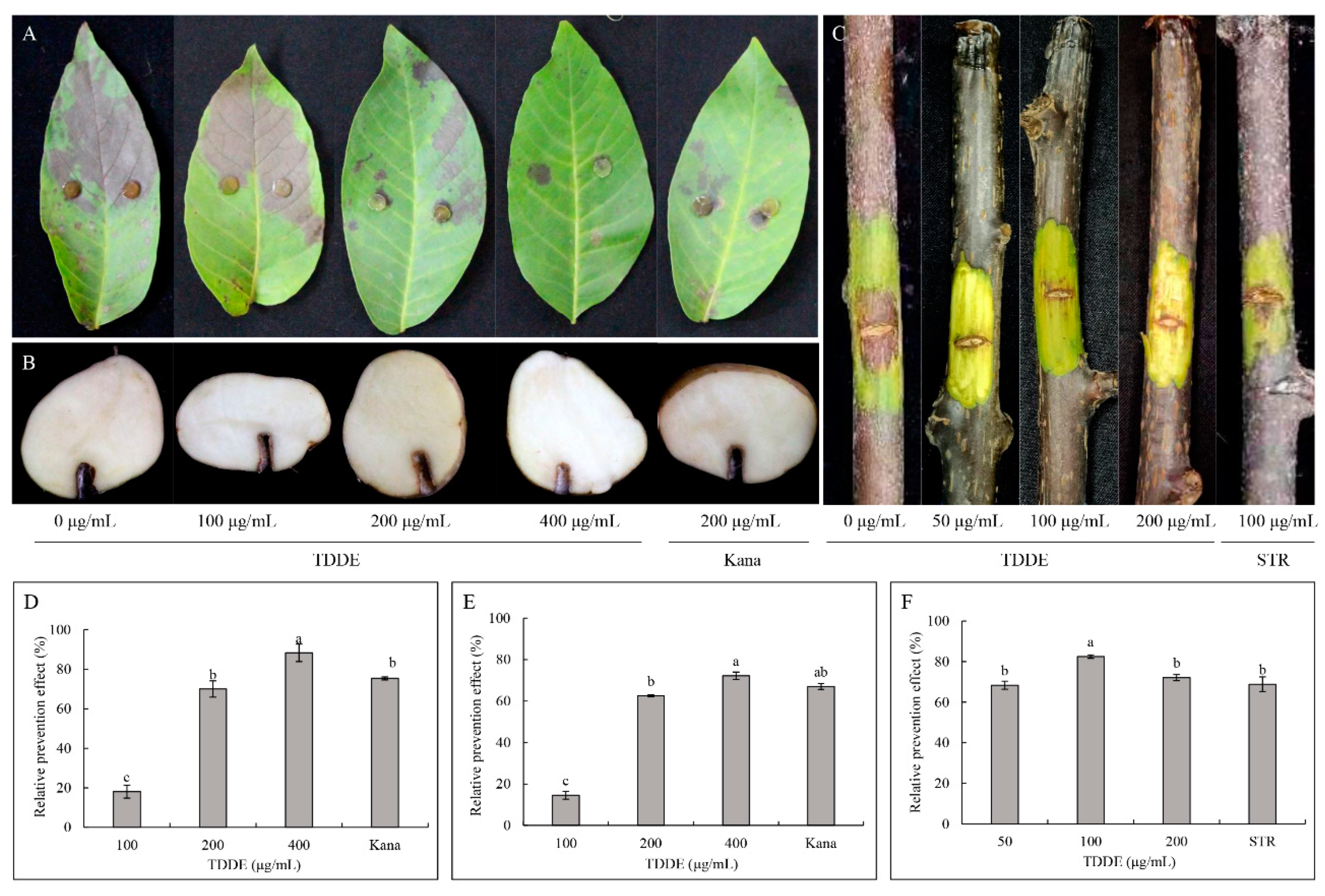 Metabolites 11 00629 g008 Metabolites 11 00629 g008