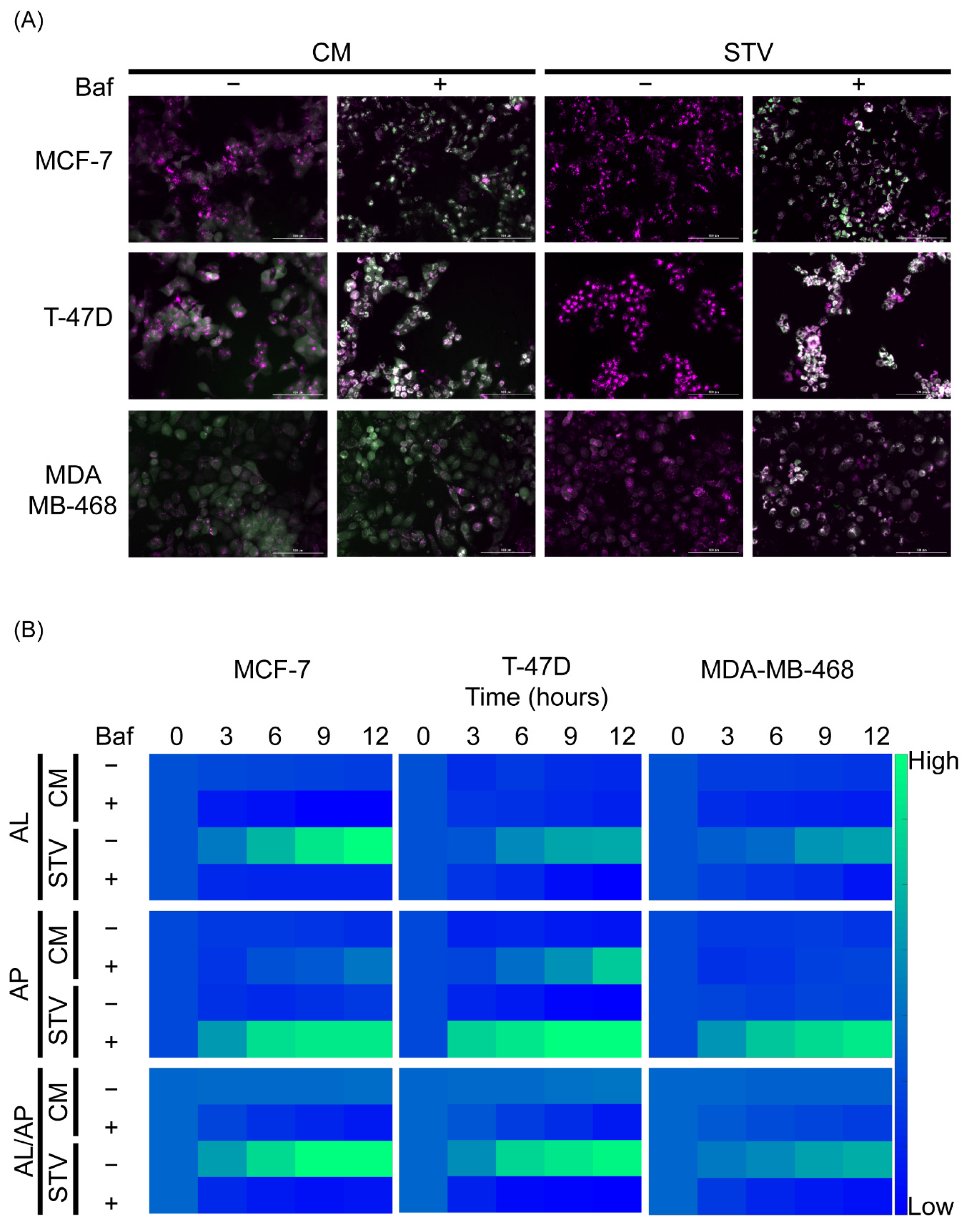 Metabolites 11 00637 g001