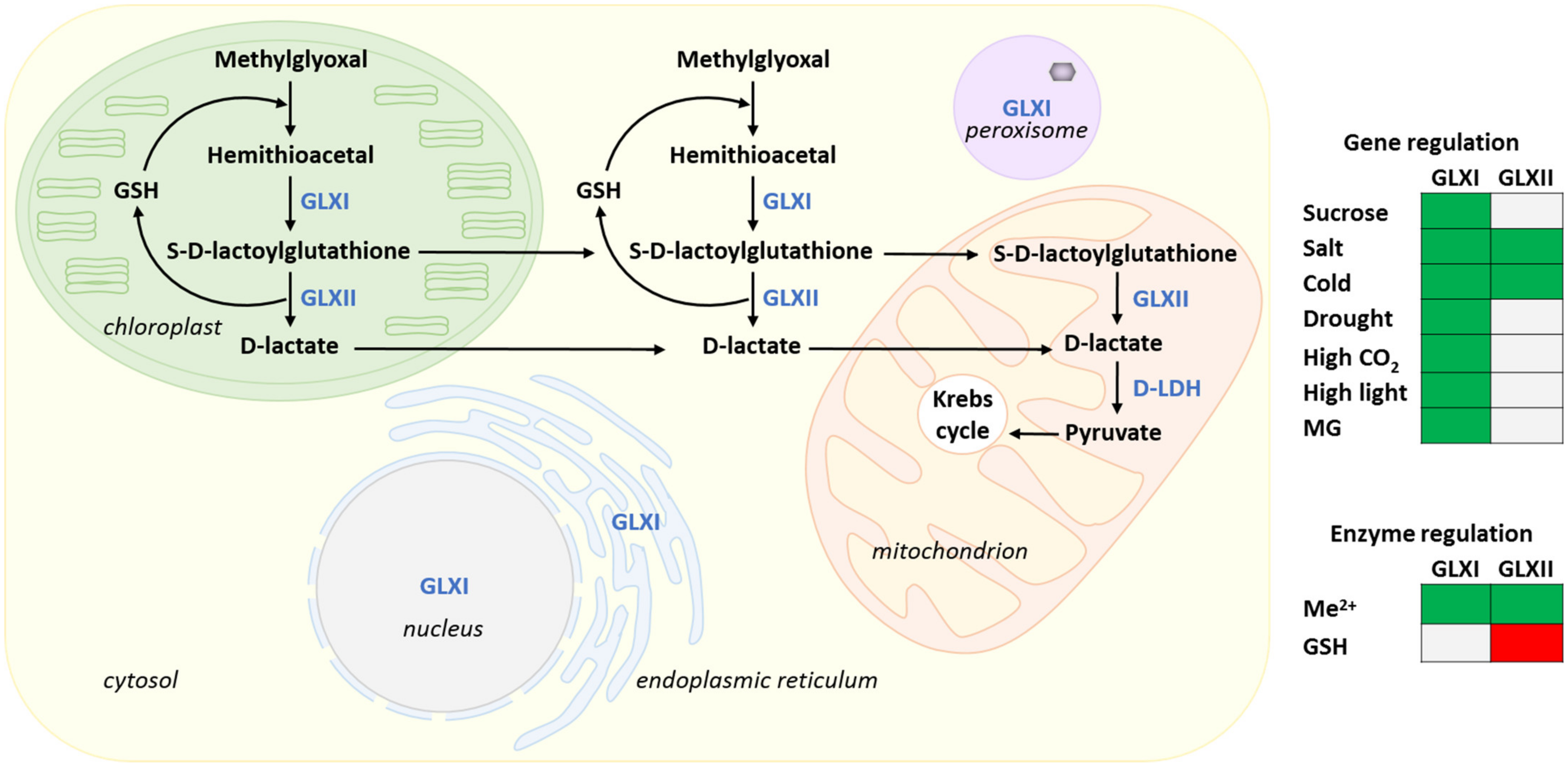 Metabolites 11 00641 g003