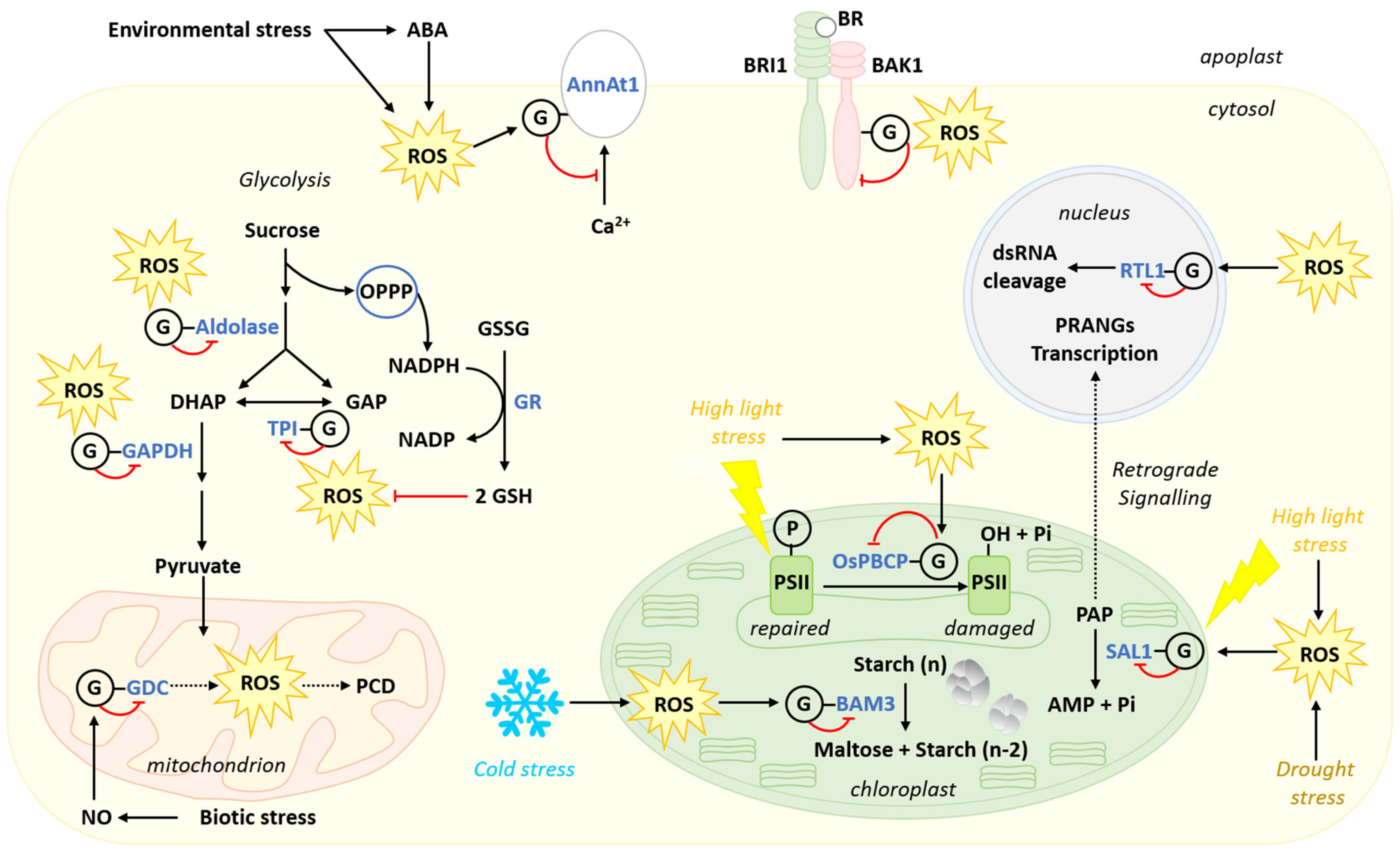 Metabolites 11 00641 g005