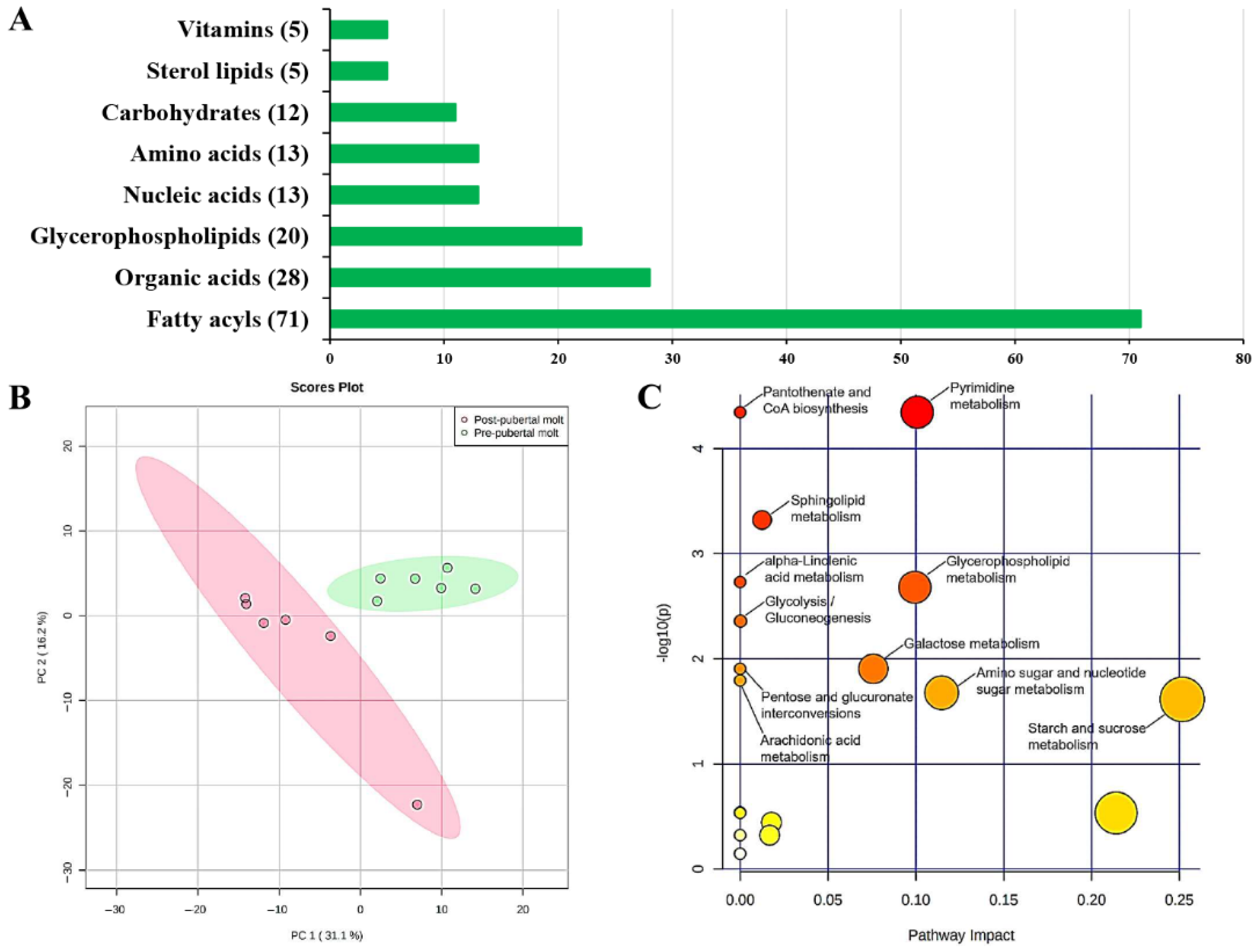 Metabolites 11 00651 g001