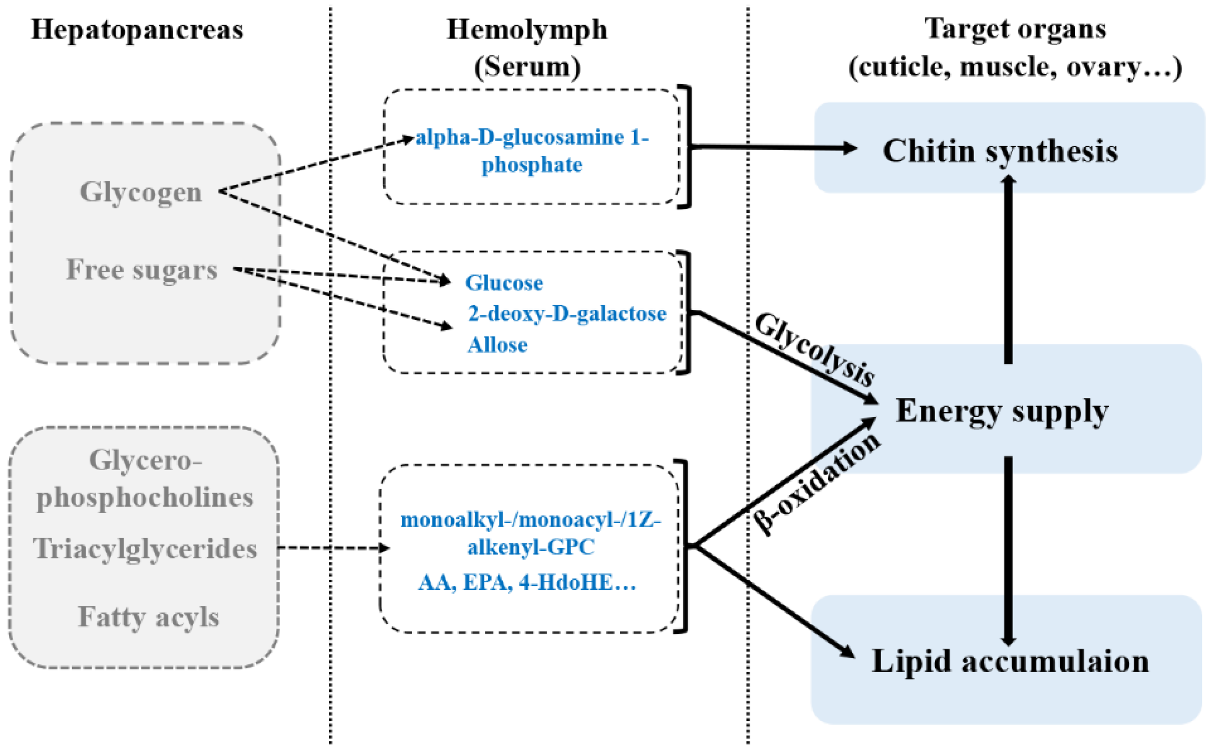 Metabolites 11 00651 g006