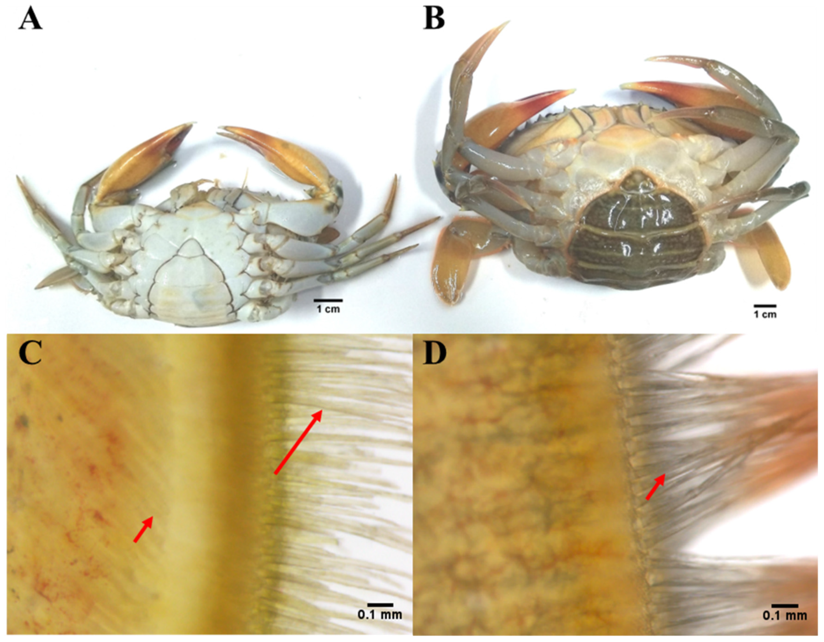 Metabolites 11 00651 g007