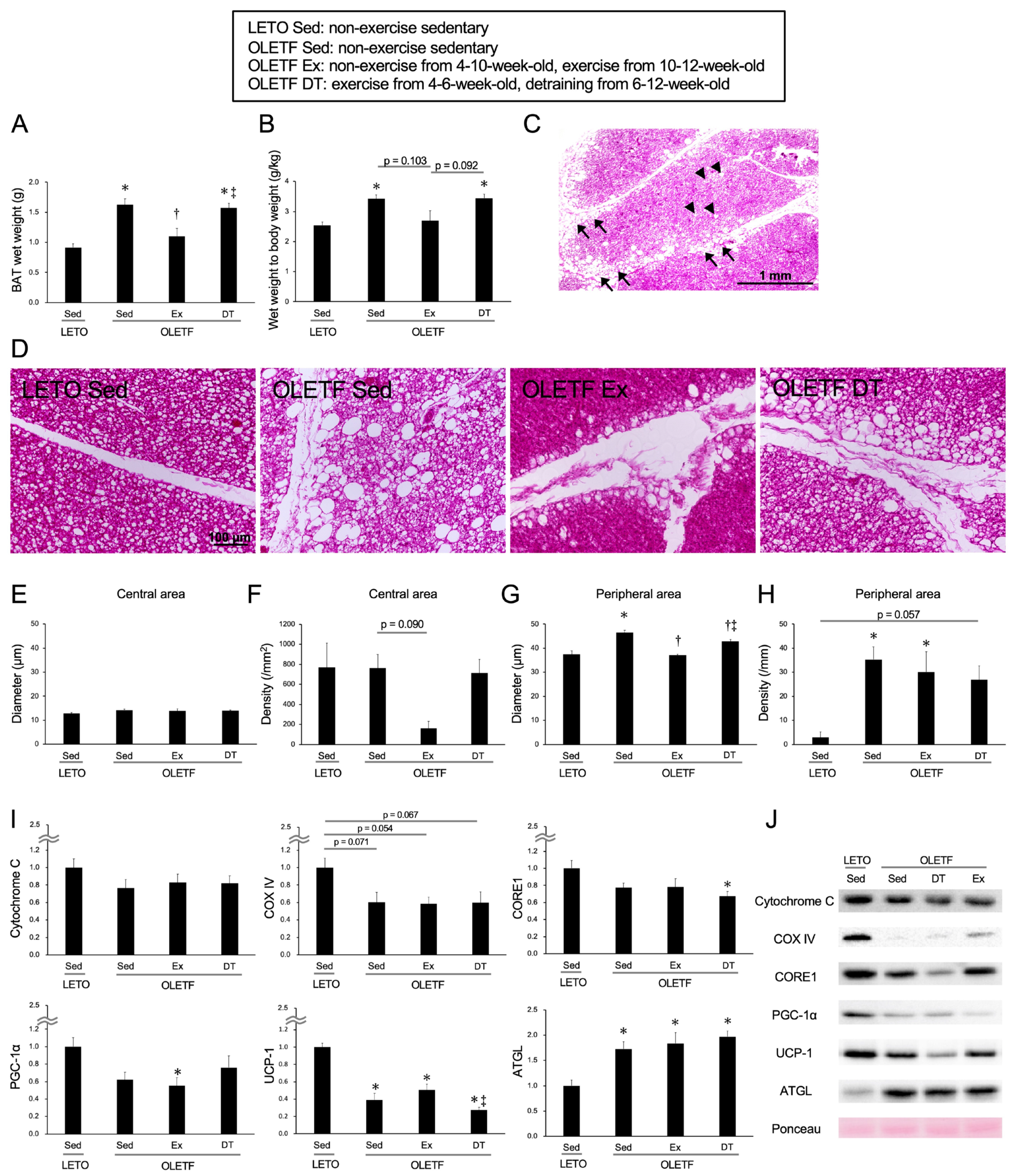 Metabolites 11 00677 g003