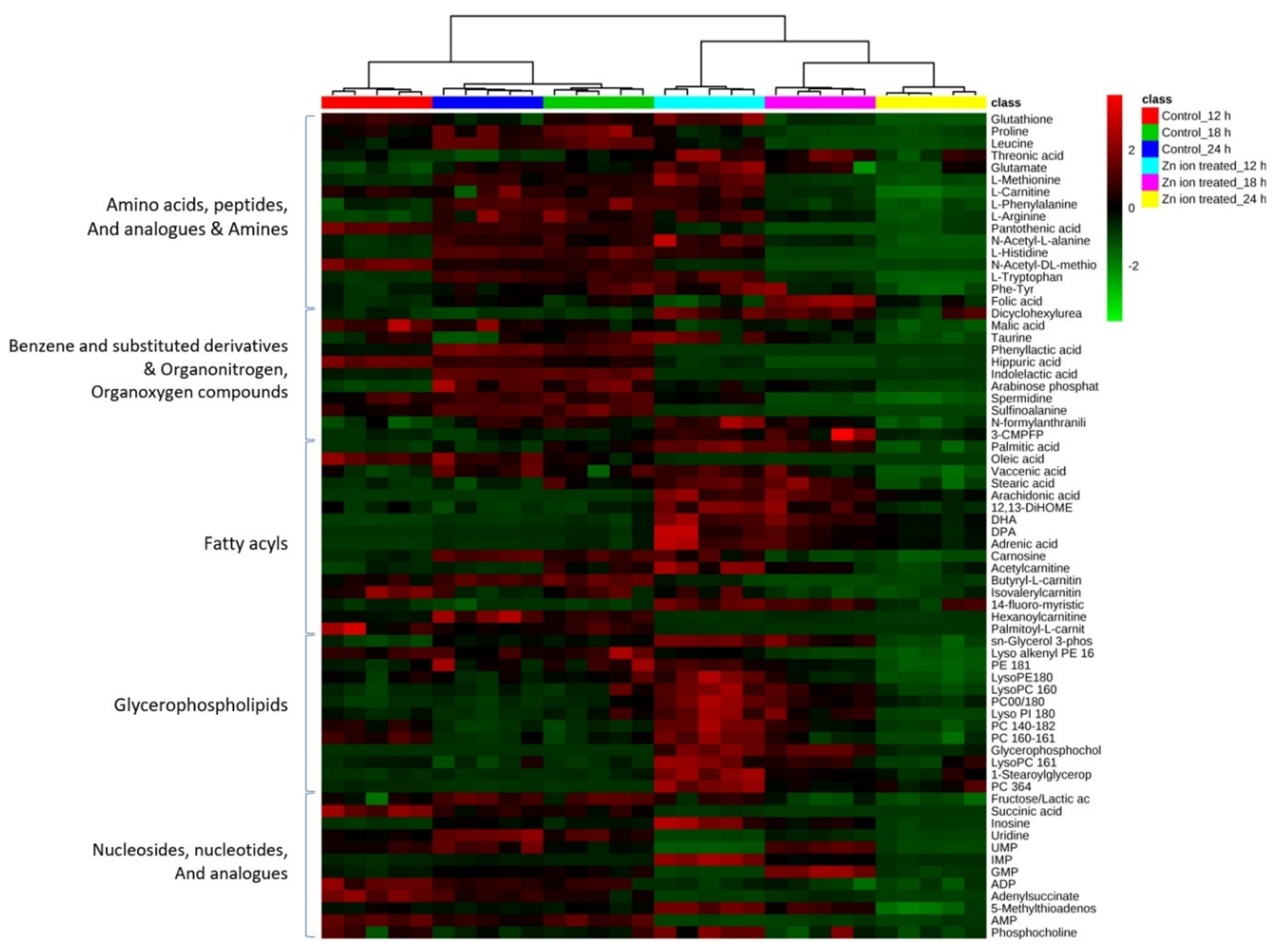 Metabolites 11 00689 g003