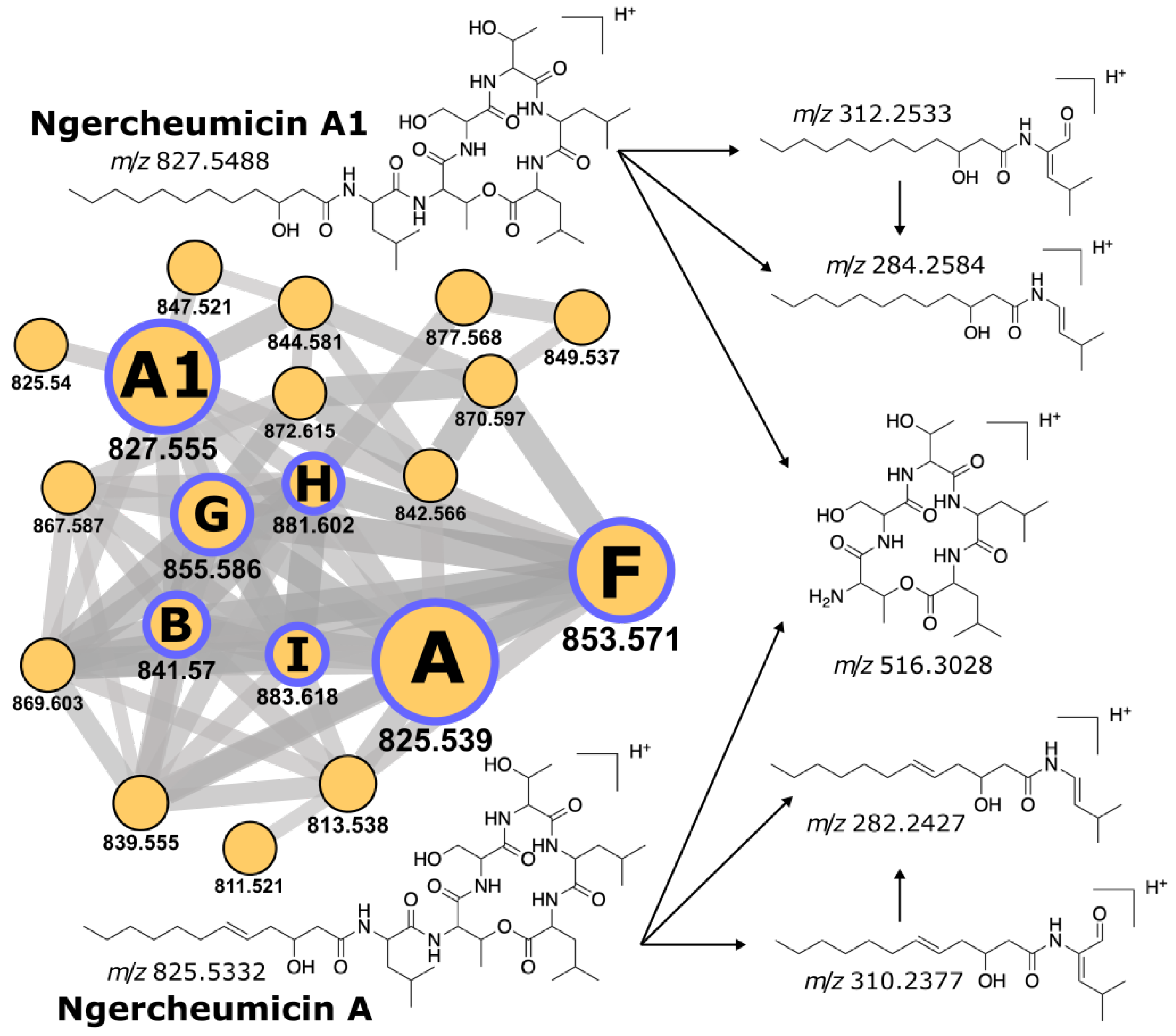 Metabolites 11 00693 g003