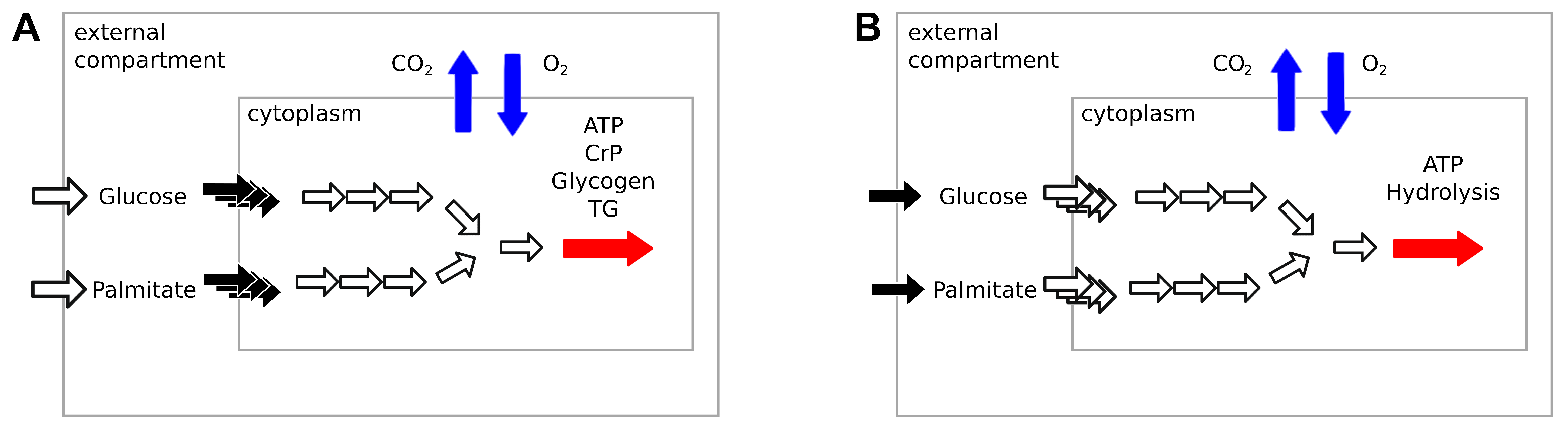 Metabolites 11 00695 g001
