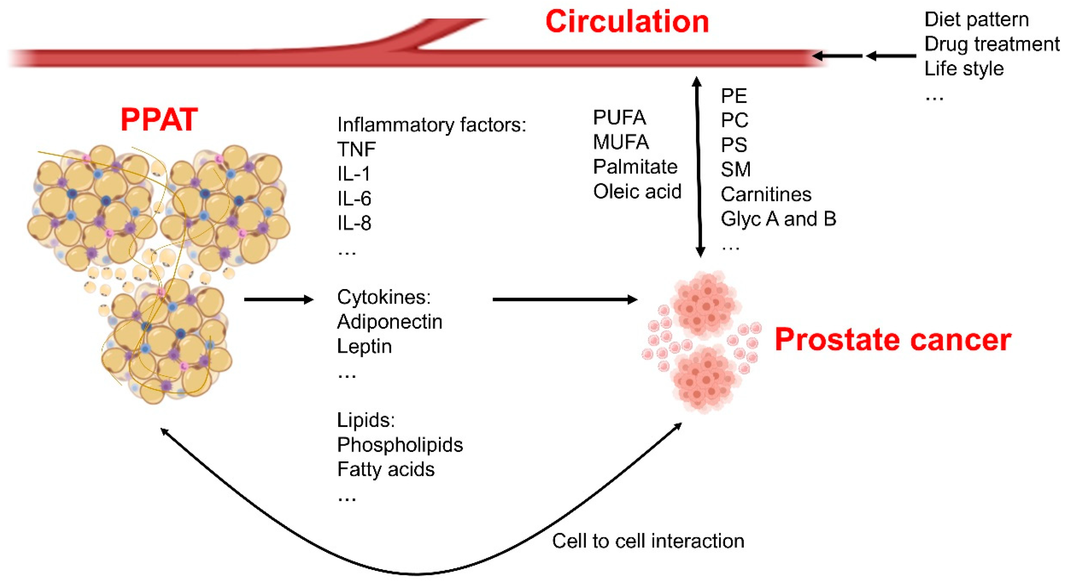 Metabolites 11 00765 g001