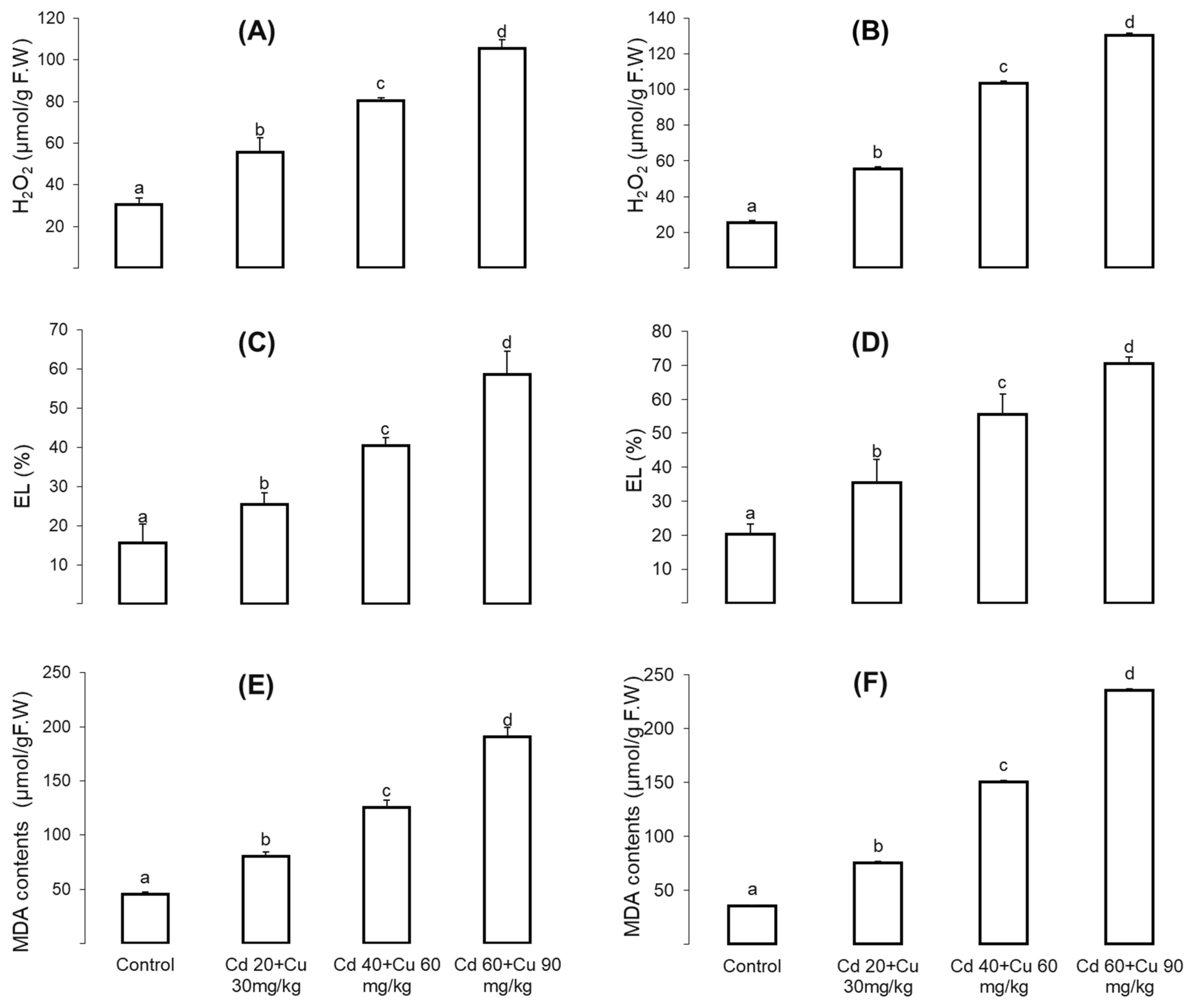 Metabolites 11 00769 g003