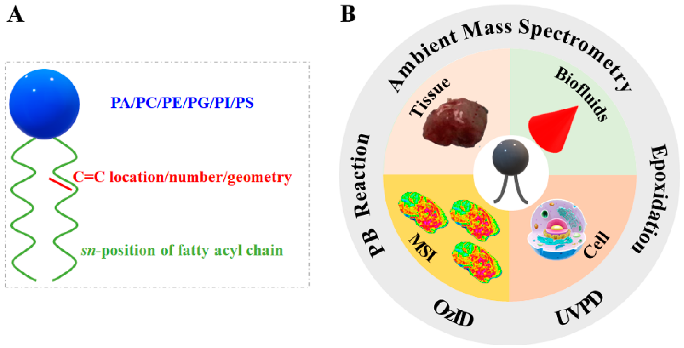 Metabolites 11 00781 g001