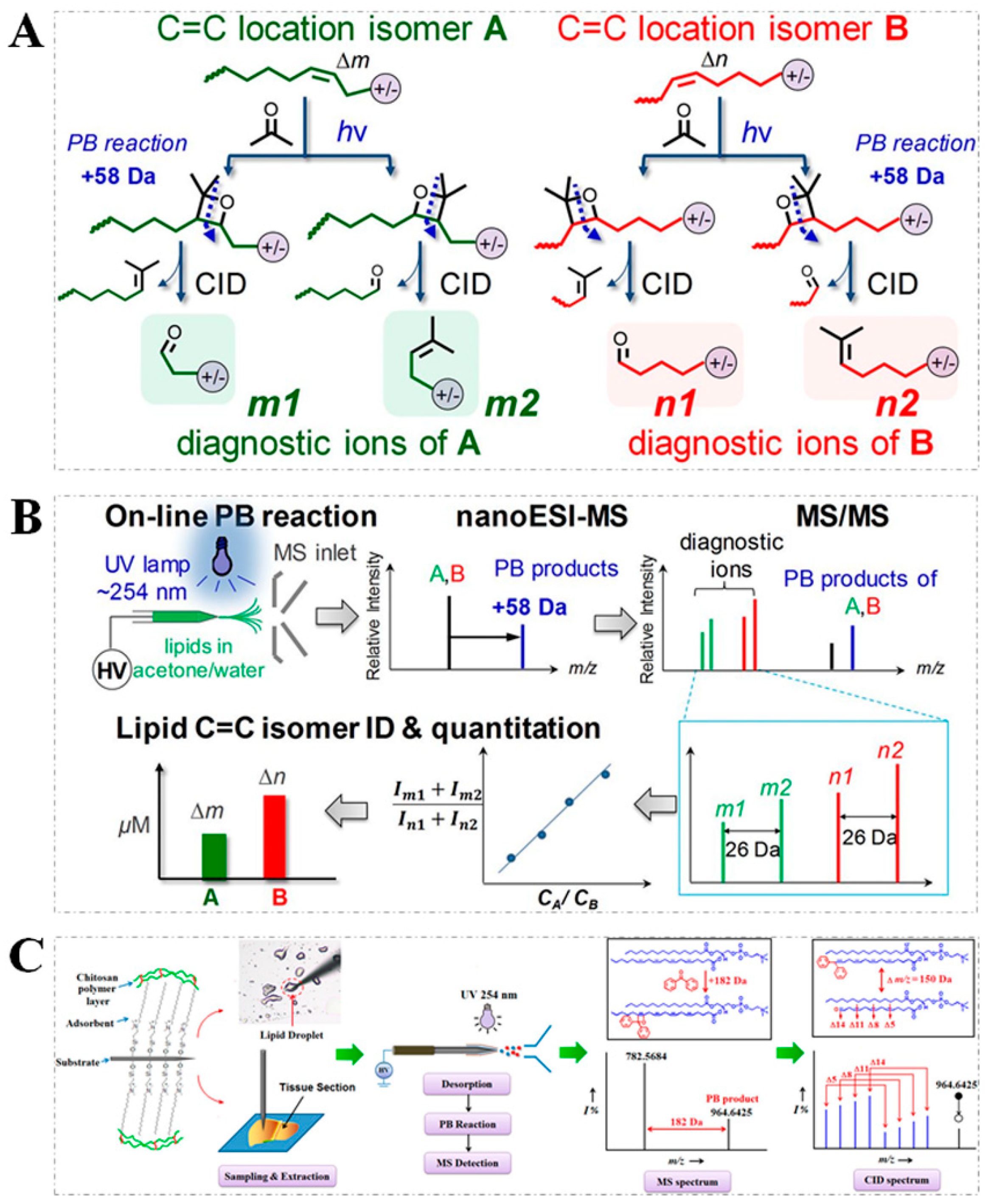 Metabolites 11 00781 g002