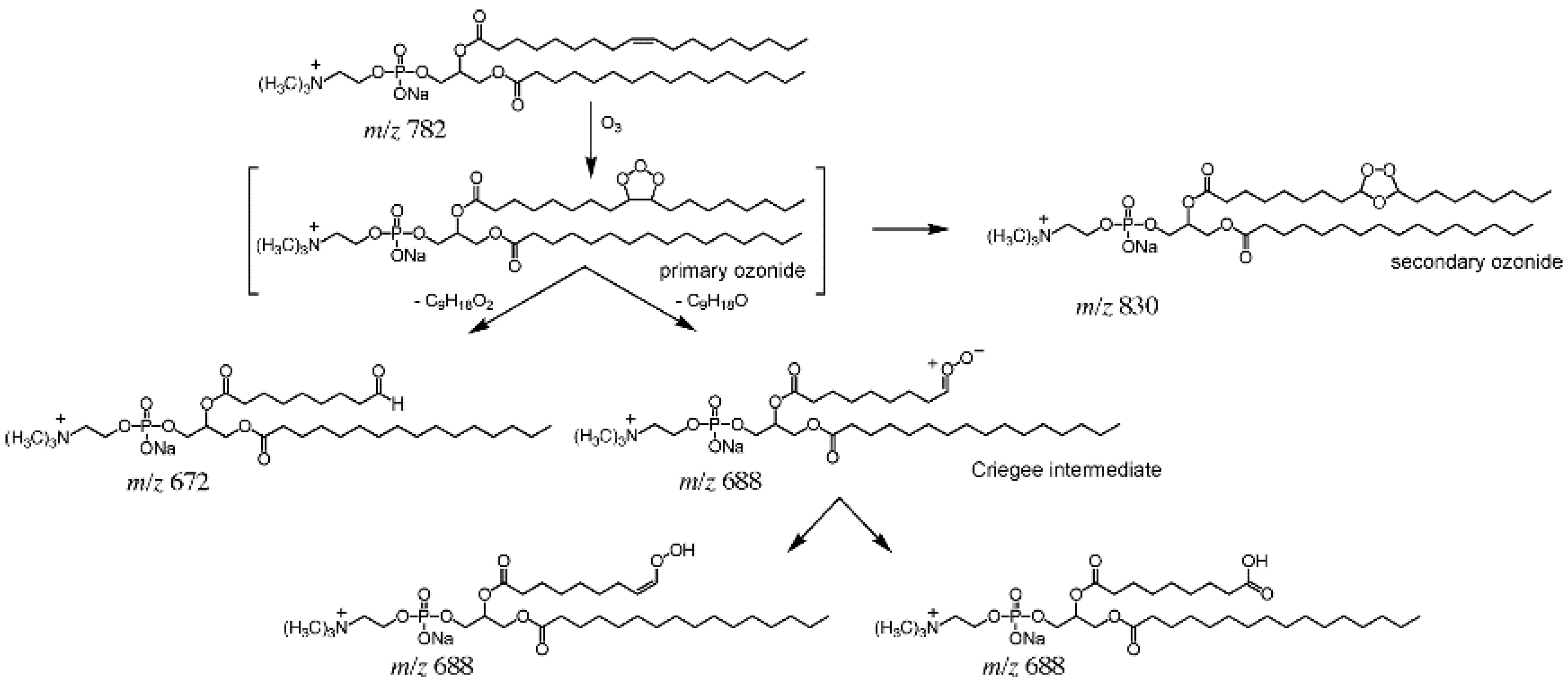 Metabolites 11 00781 g003