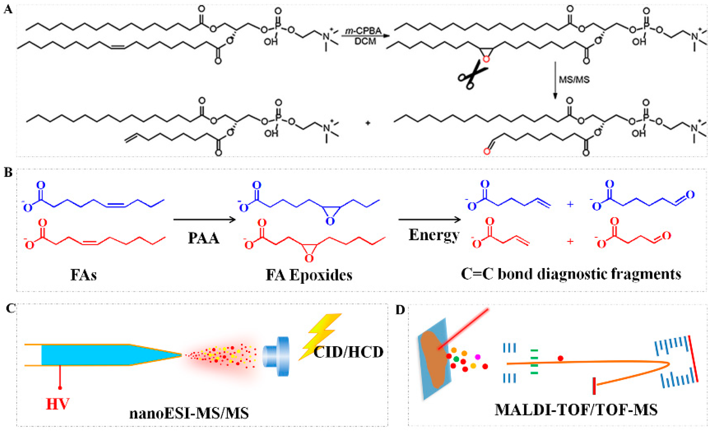 Metabolites 11 00781 g004