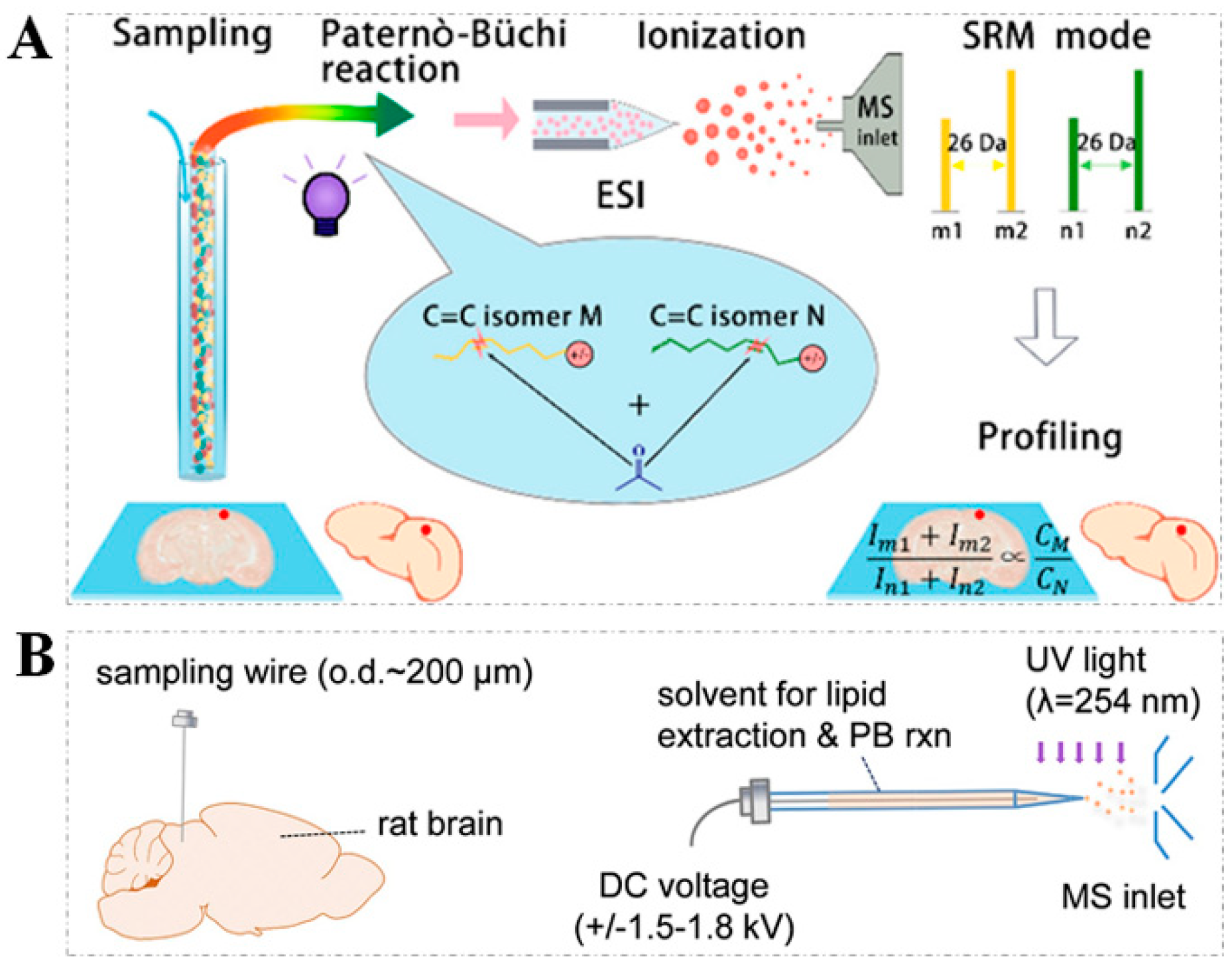 Metabolites 11 00781 g006