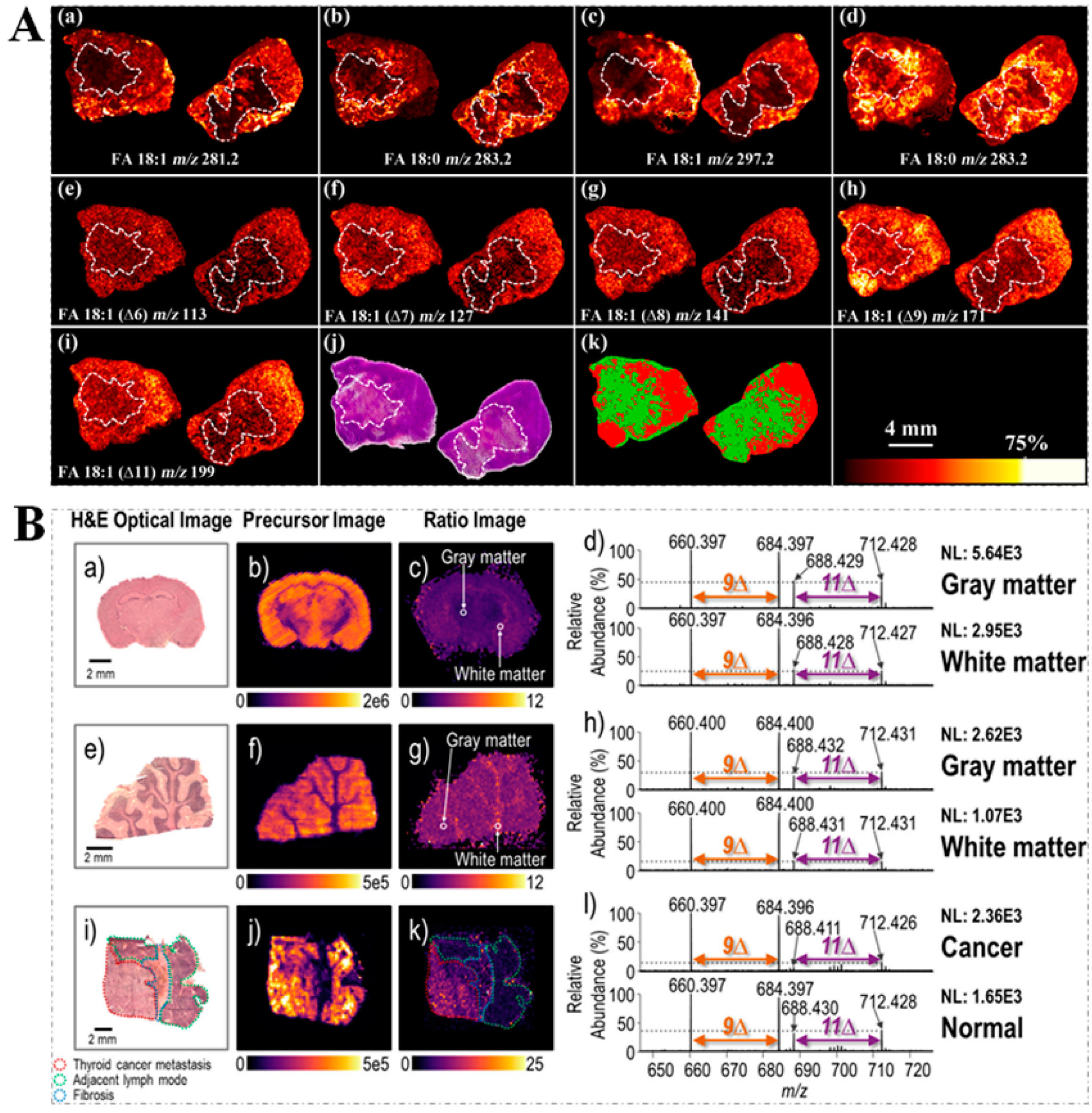 Metabolites 11 00781 g008