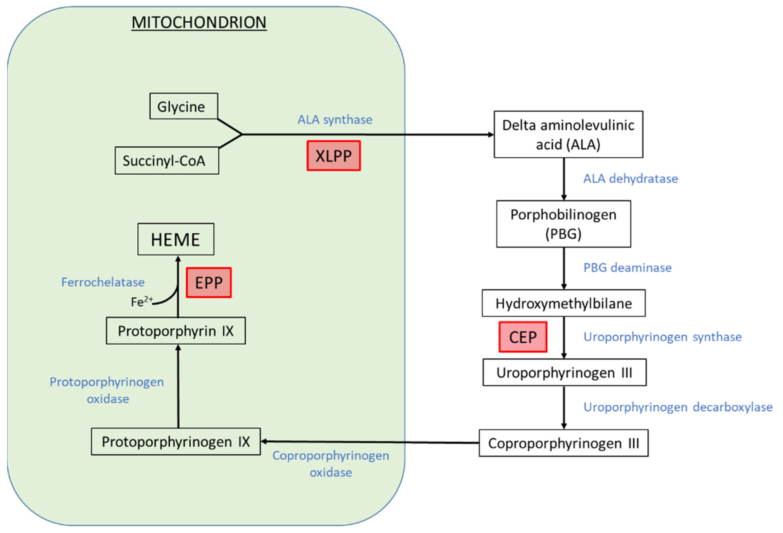 Metabolites 11 00798 g001
