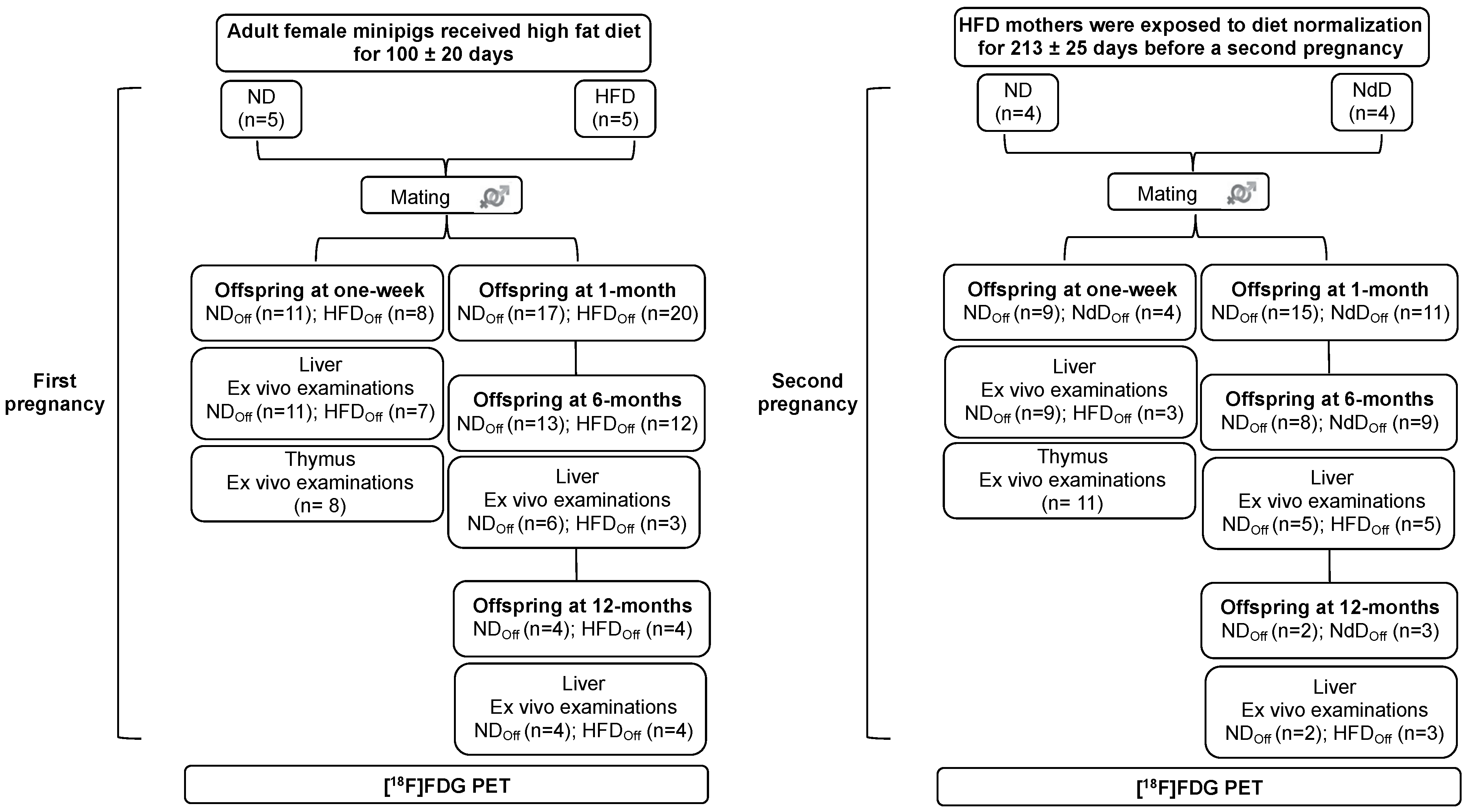 Metabolites 11 00800 g001