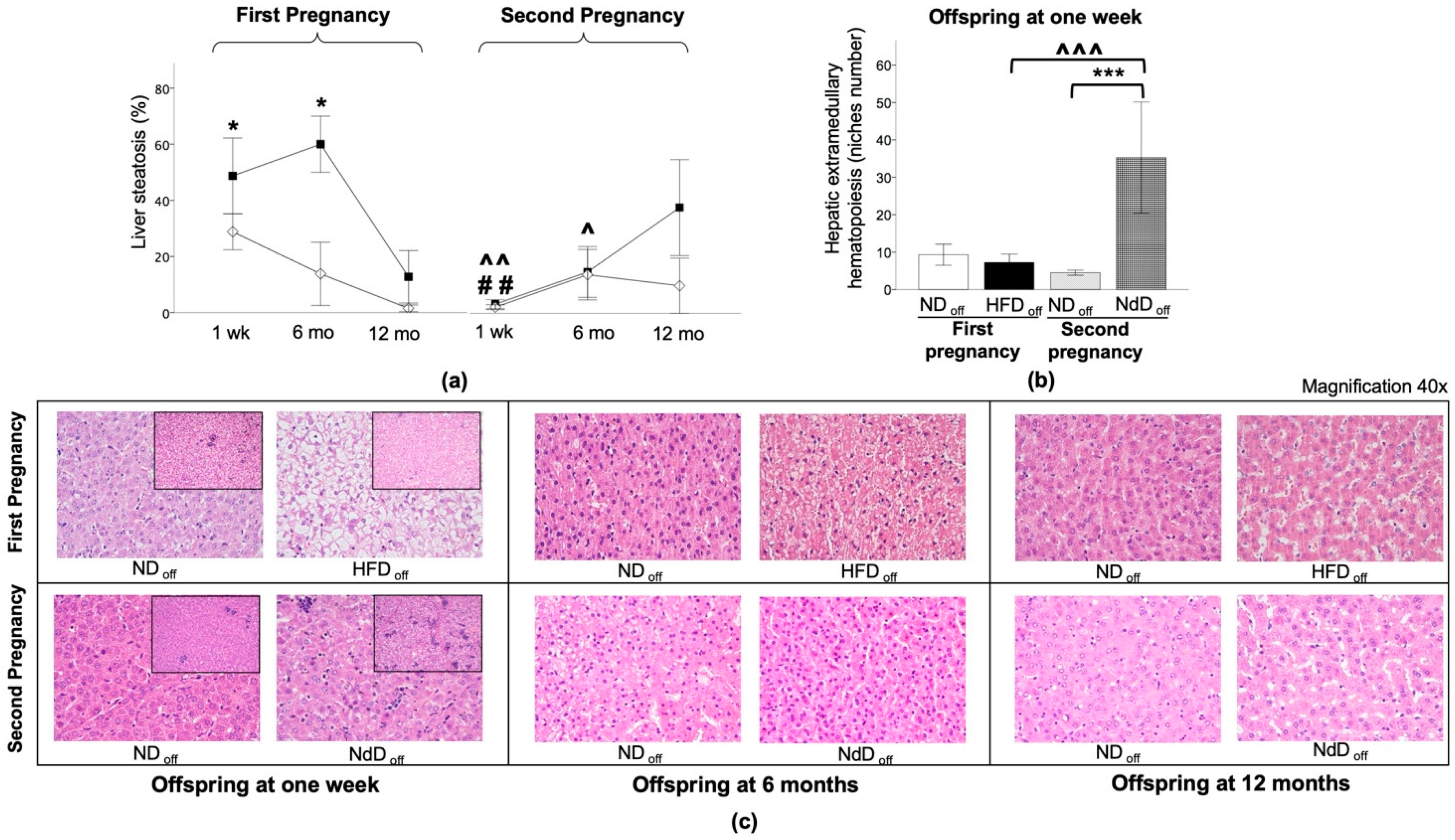 Metabolites 11 00800 g005