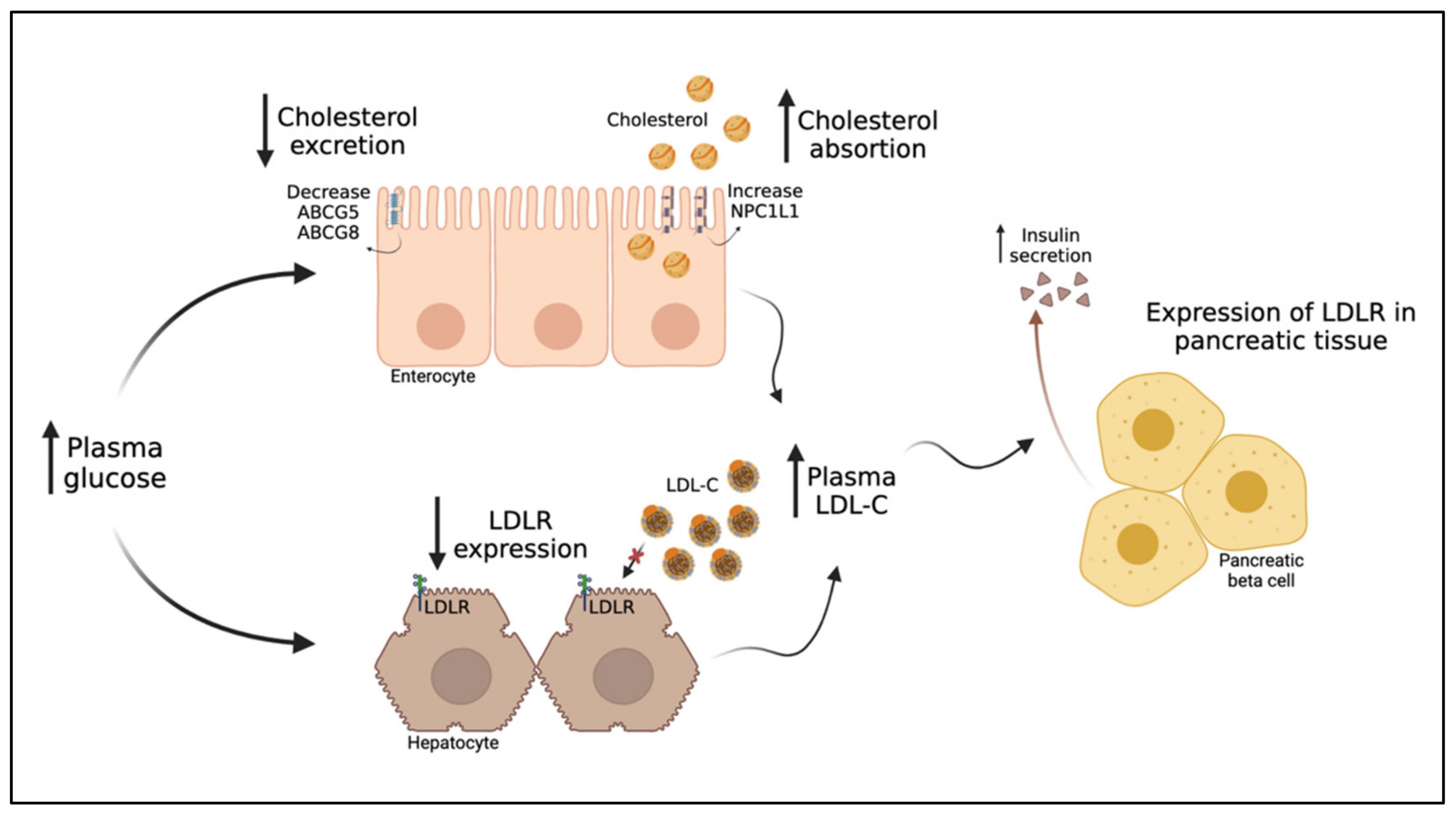 Metabolites 11 00807 g003 Metabolites 11 00807 g003