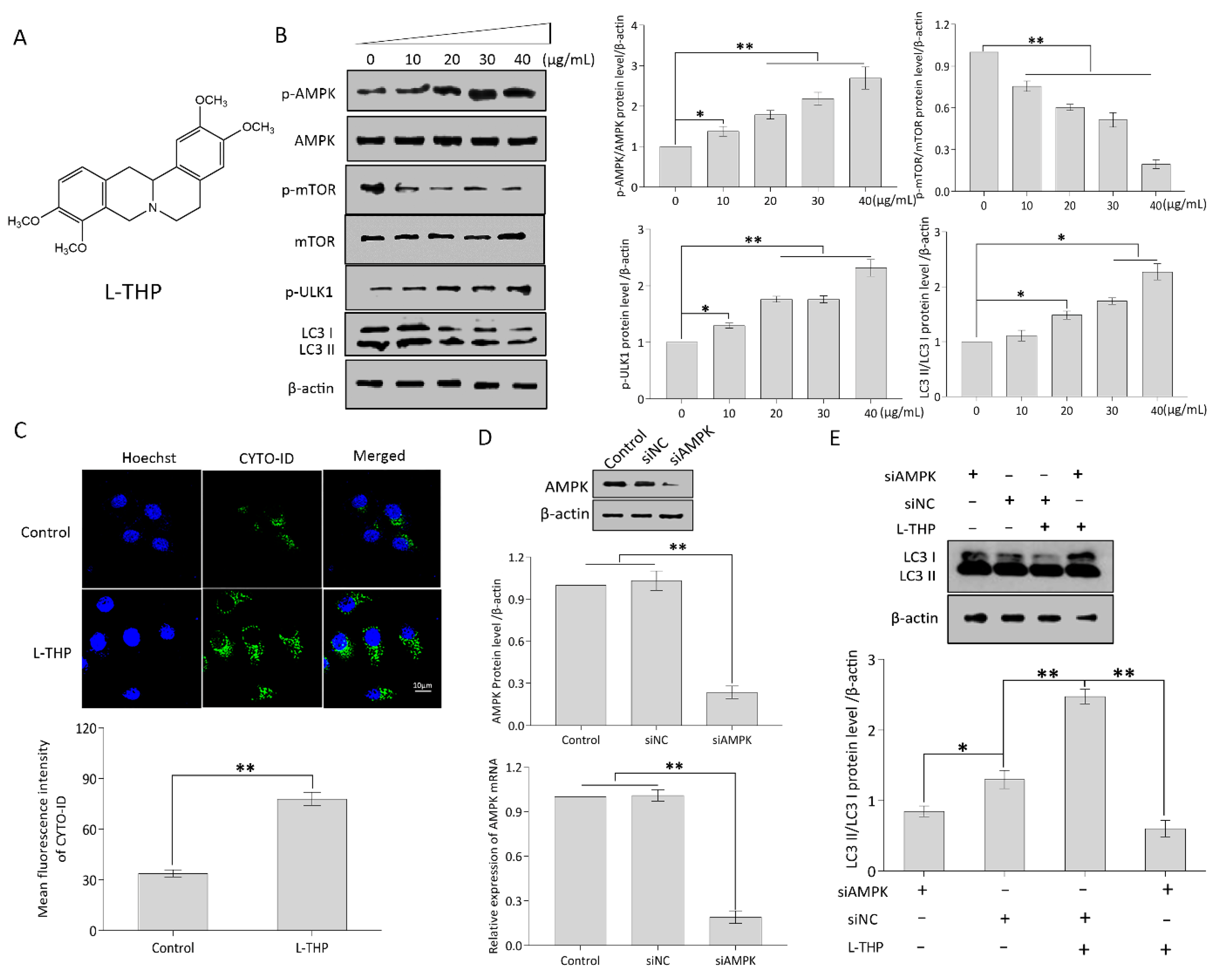 Metabolites 11 00811 g002