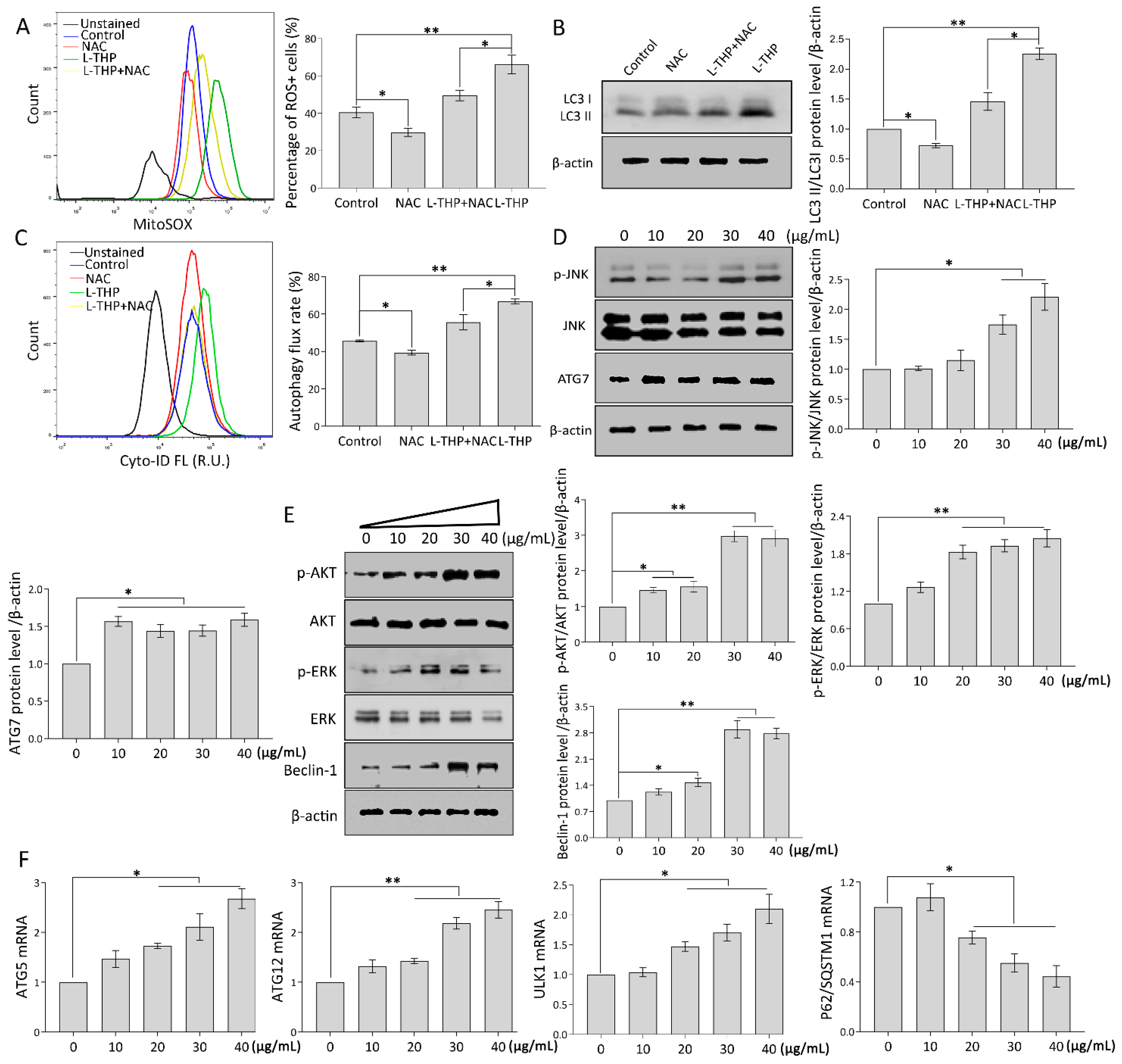 Metabolites 11 00811 g003