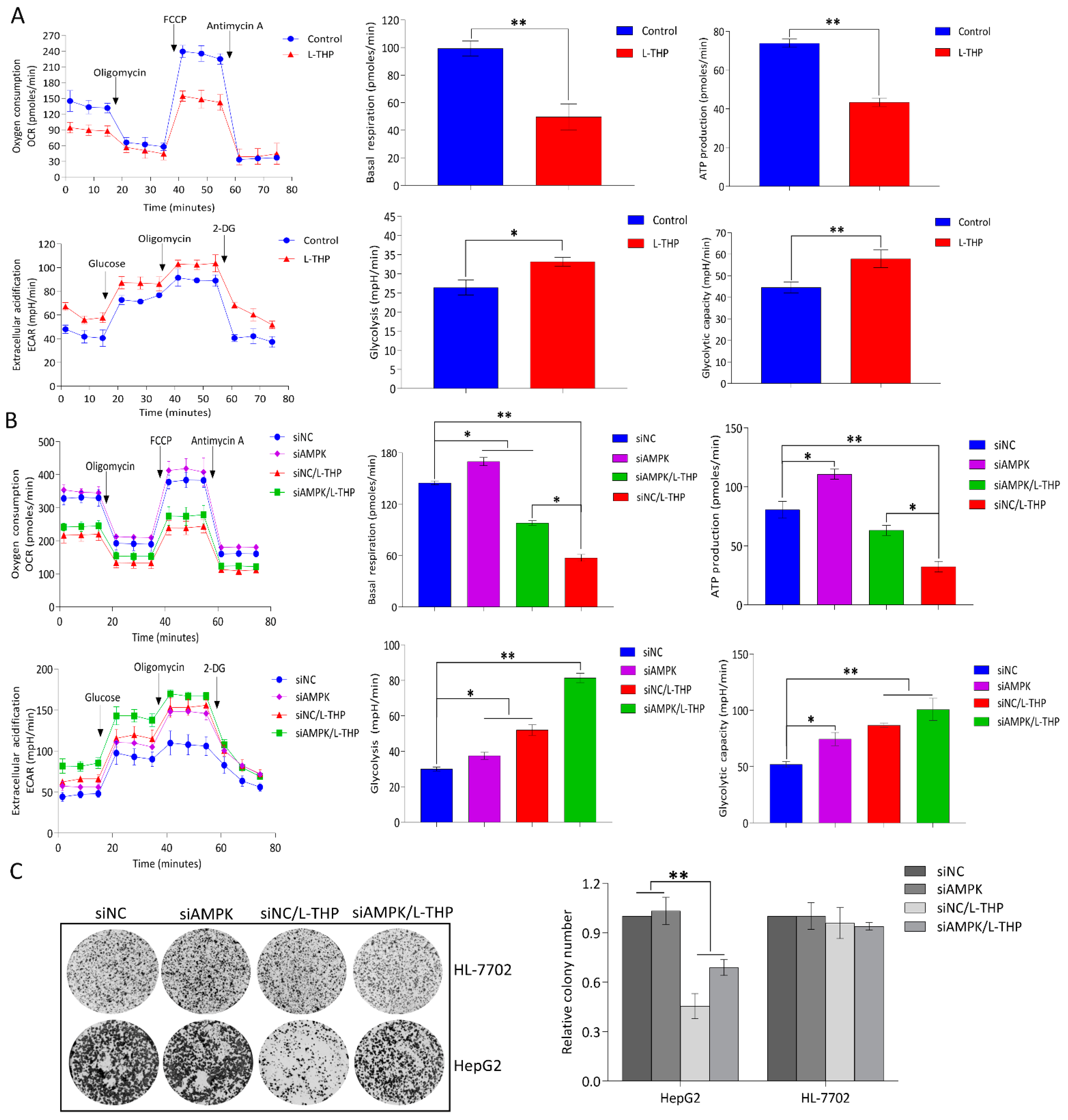Metabolites 11 00811 g004