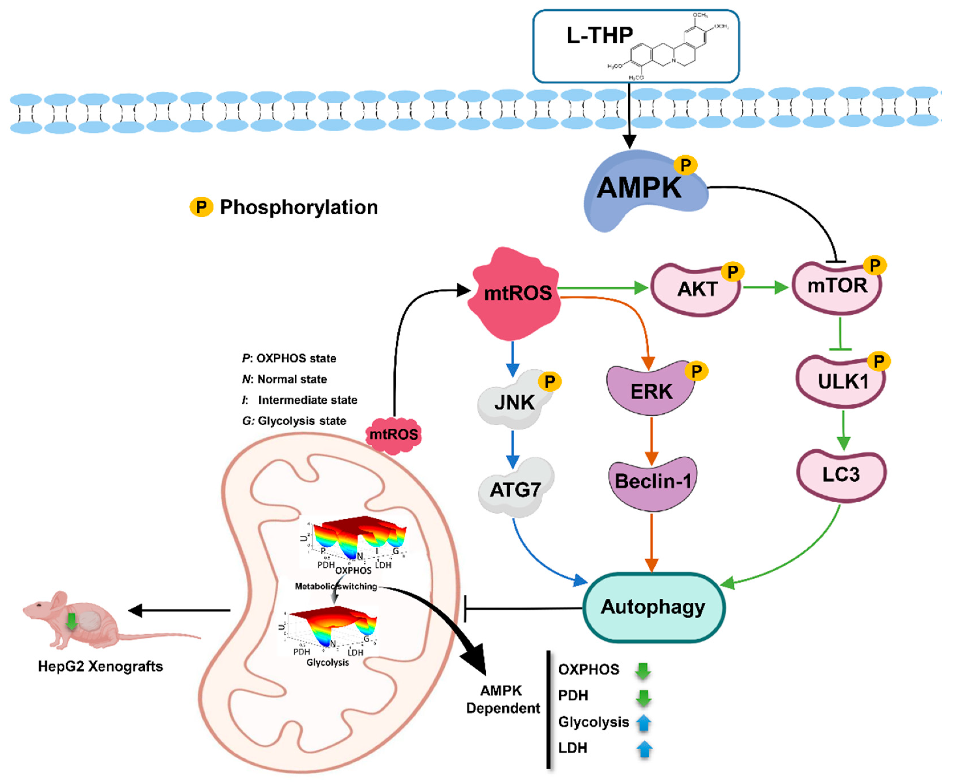 Metabolites 11 00811 g006