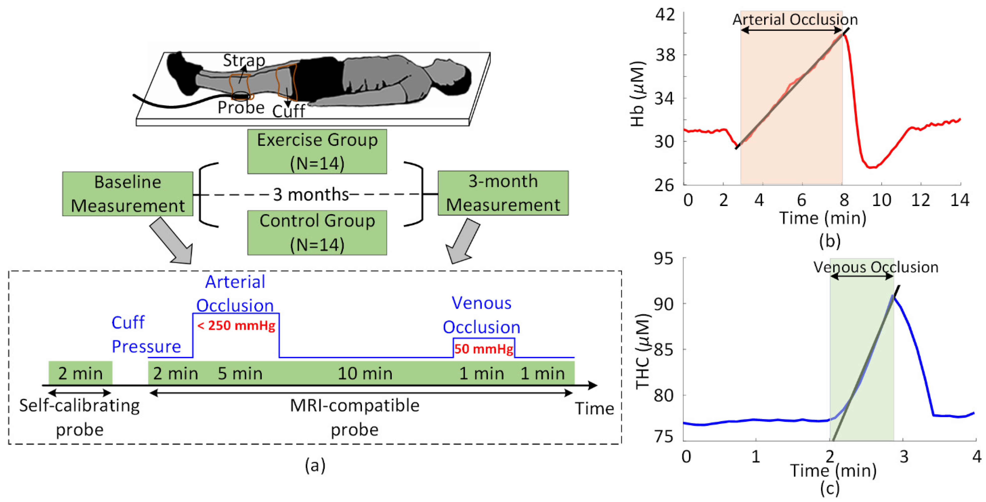 Metabolites 11 00814 g003