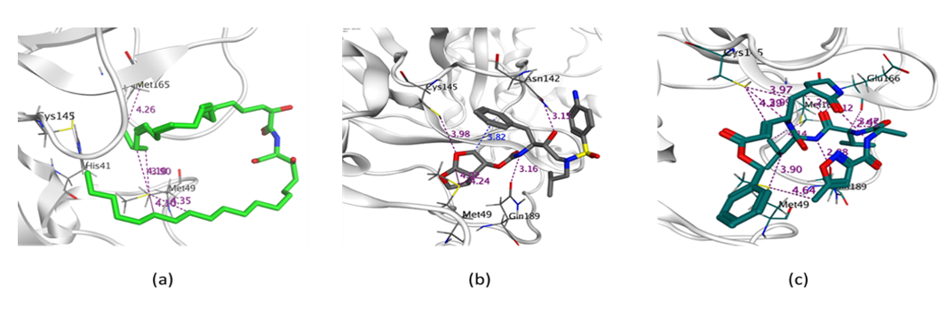 Metabolites 11 00816 g005