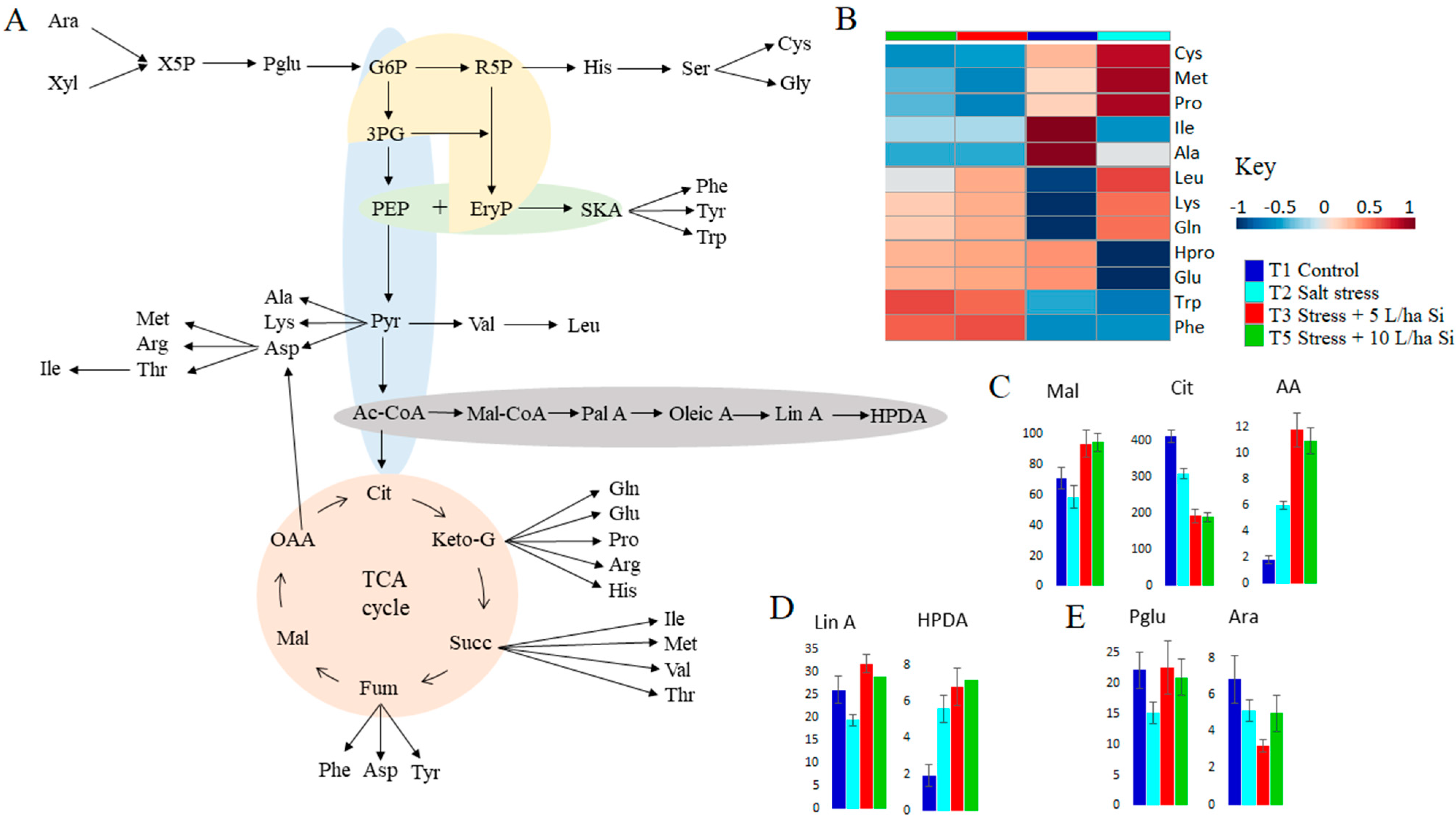 Metabolites 11 00820 g005