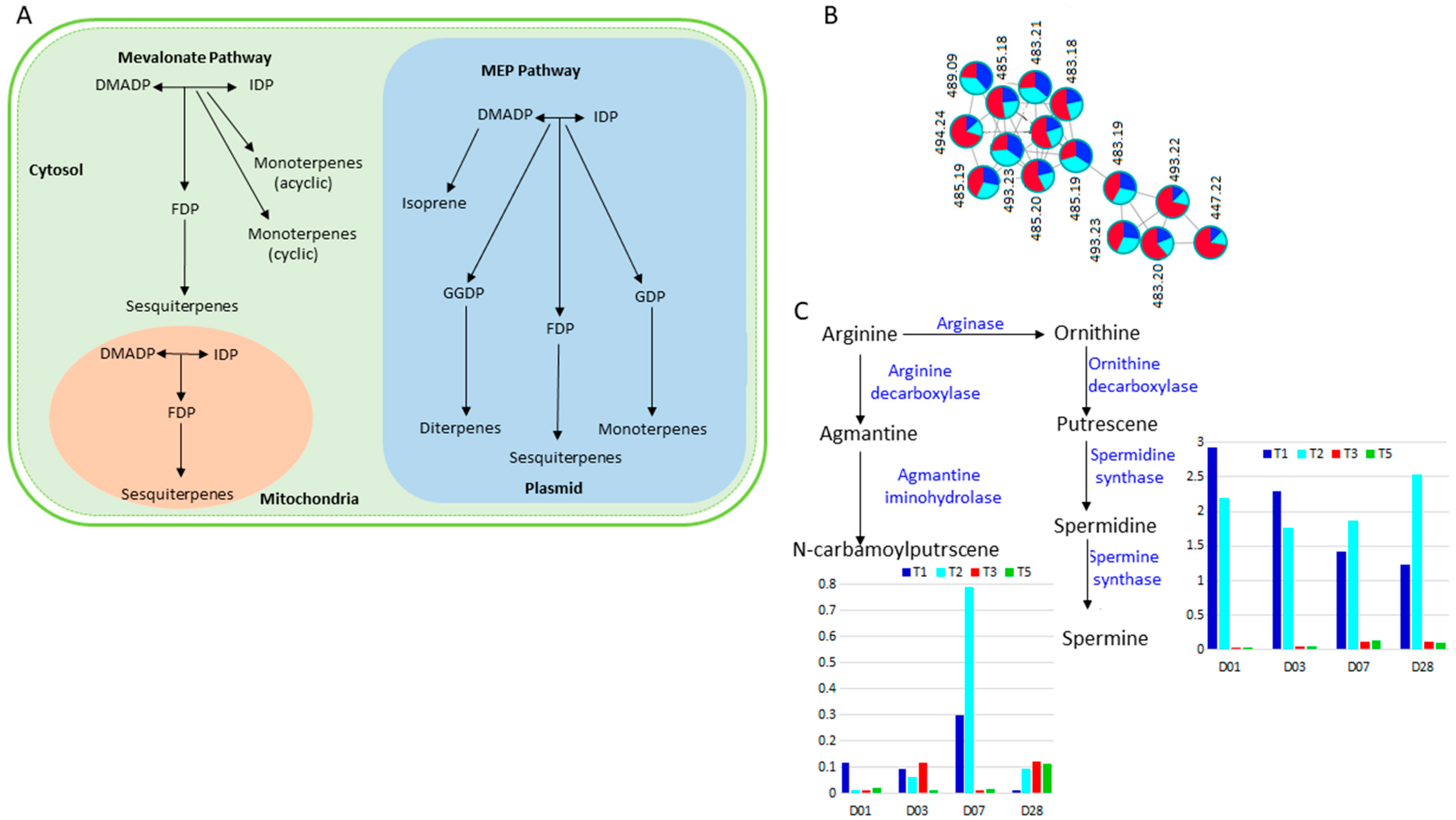 Metabolites 11 00820 g008