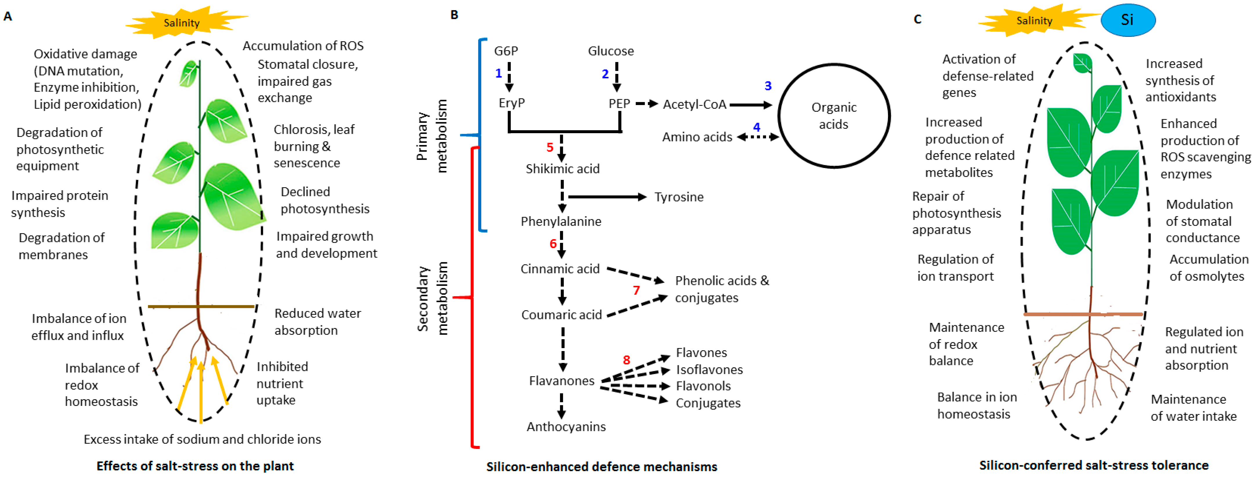 Metabolites 11 00820 g009