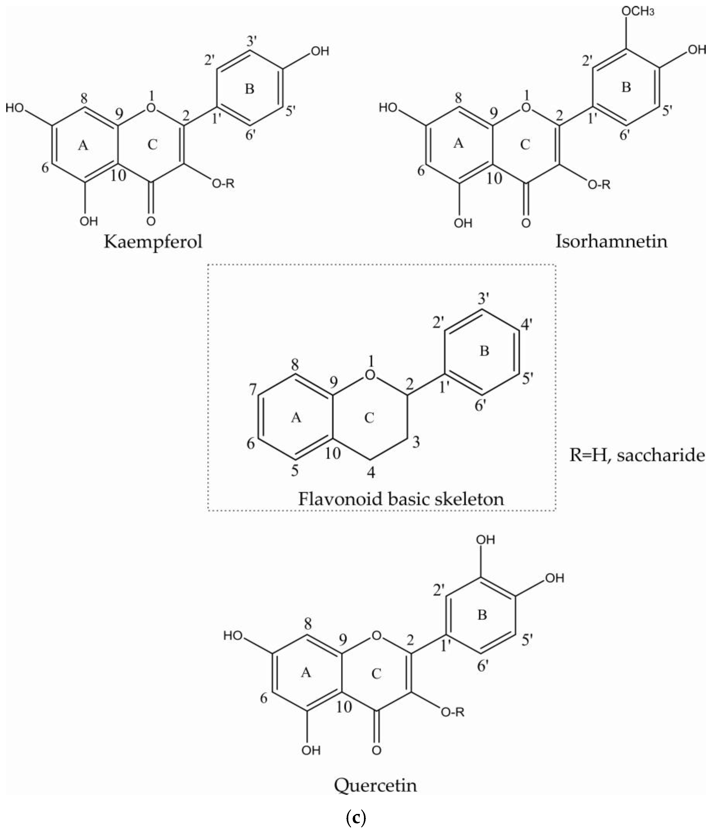 Metabolites 11 00822 g002b Metabolites 11 00822 g002b