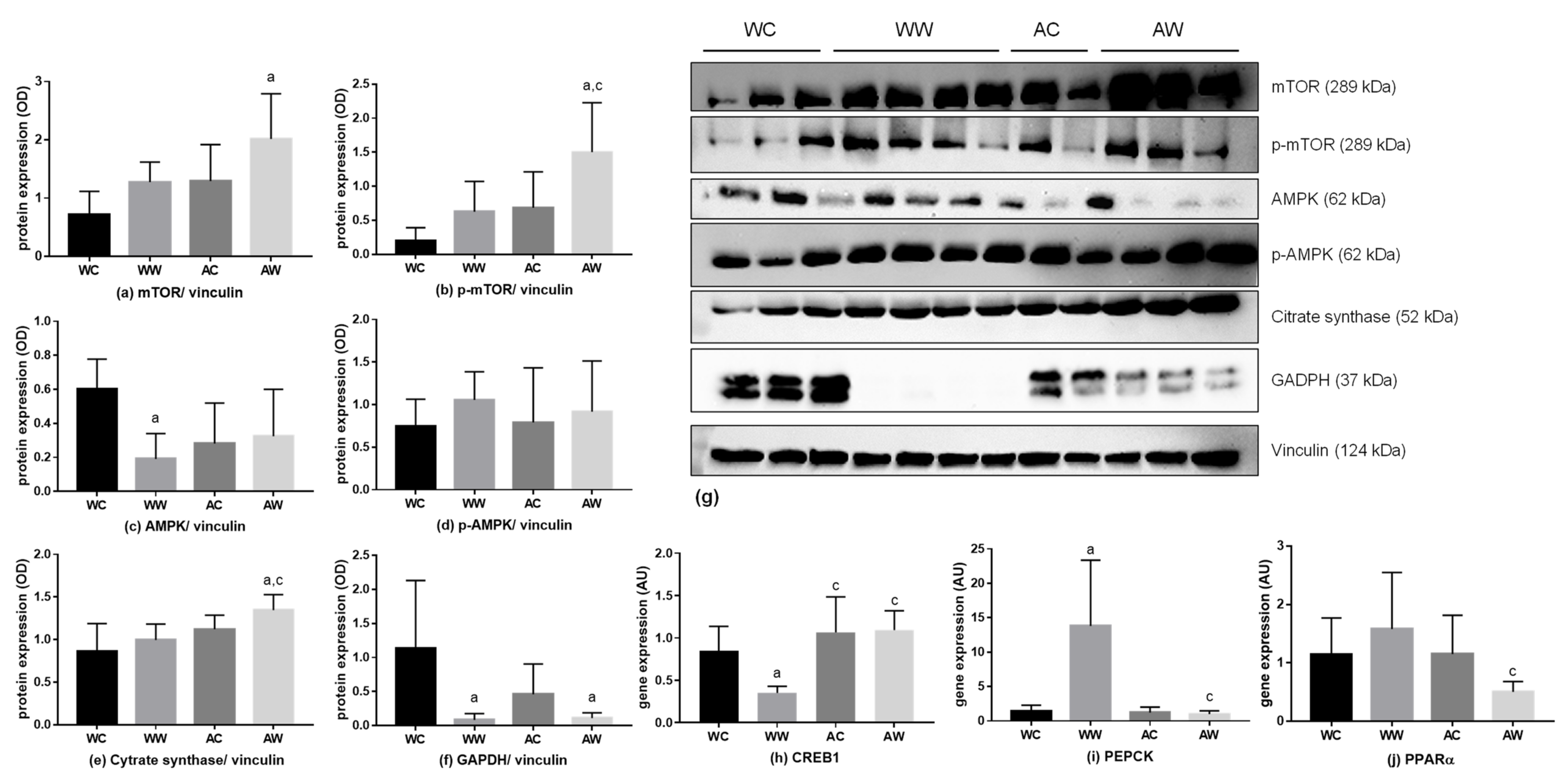 Metabolites 11 00831 g003