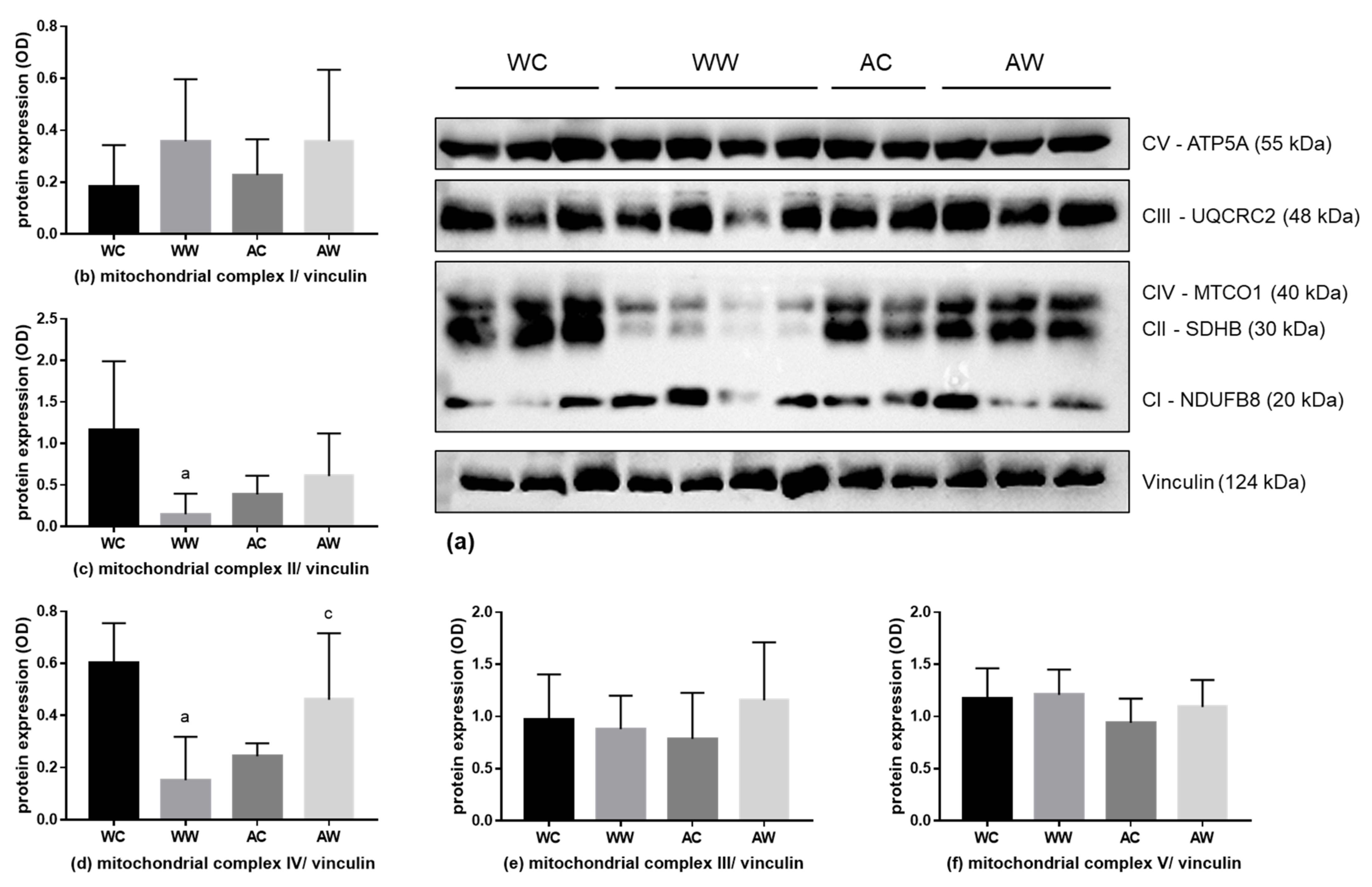 Metabolites 11 00831 g004