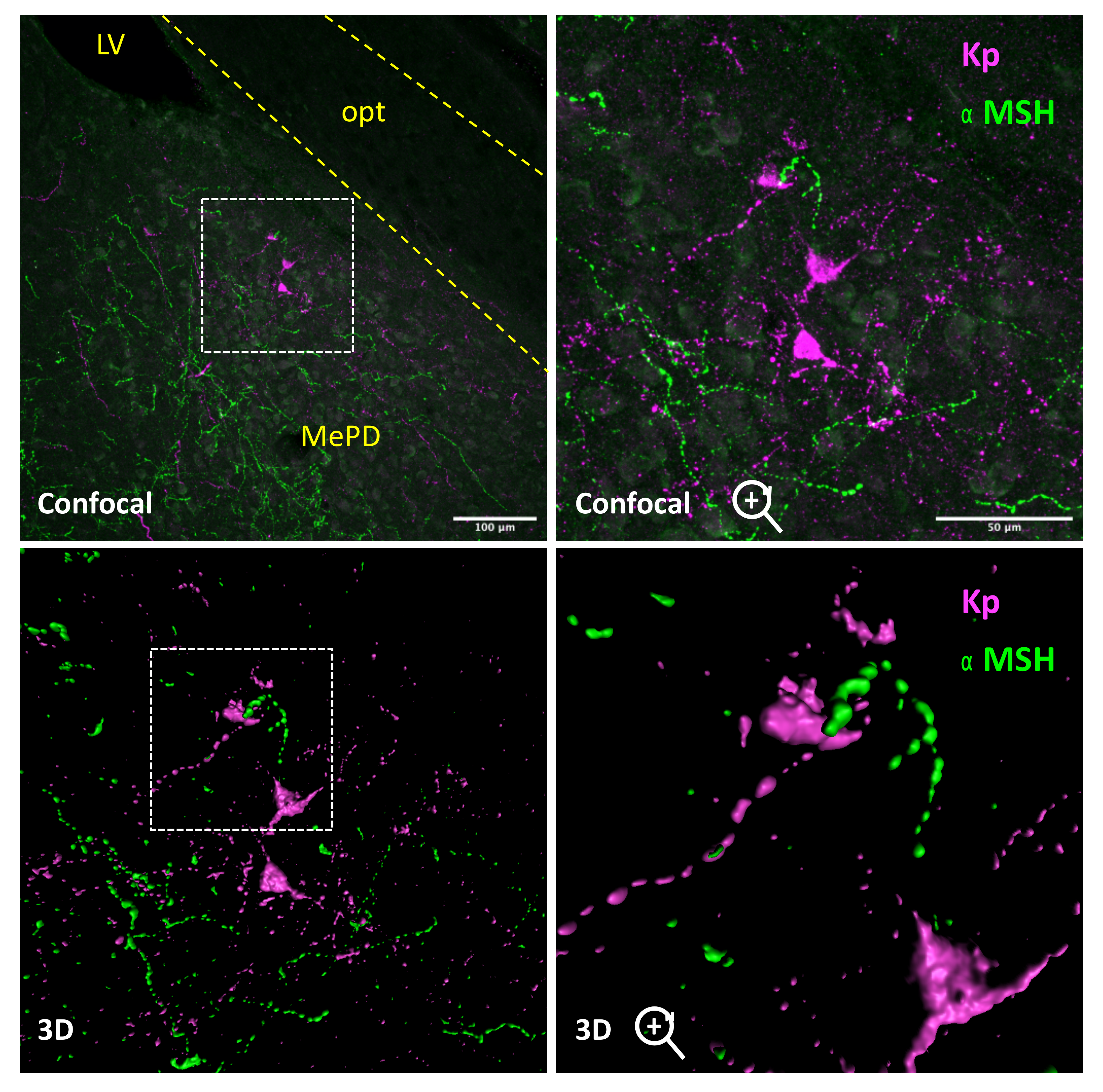 Metabolites 11 00837 g001