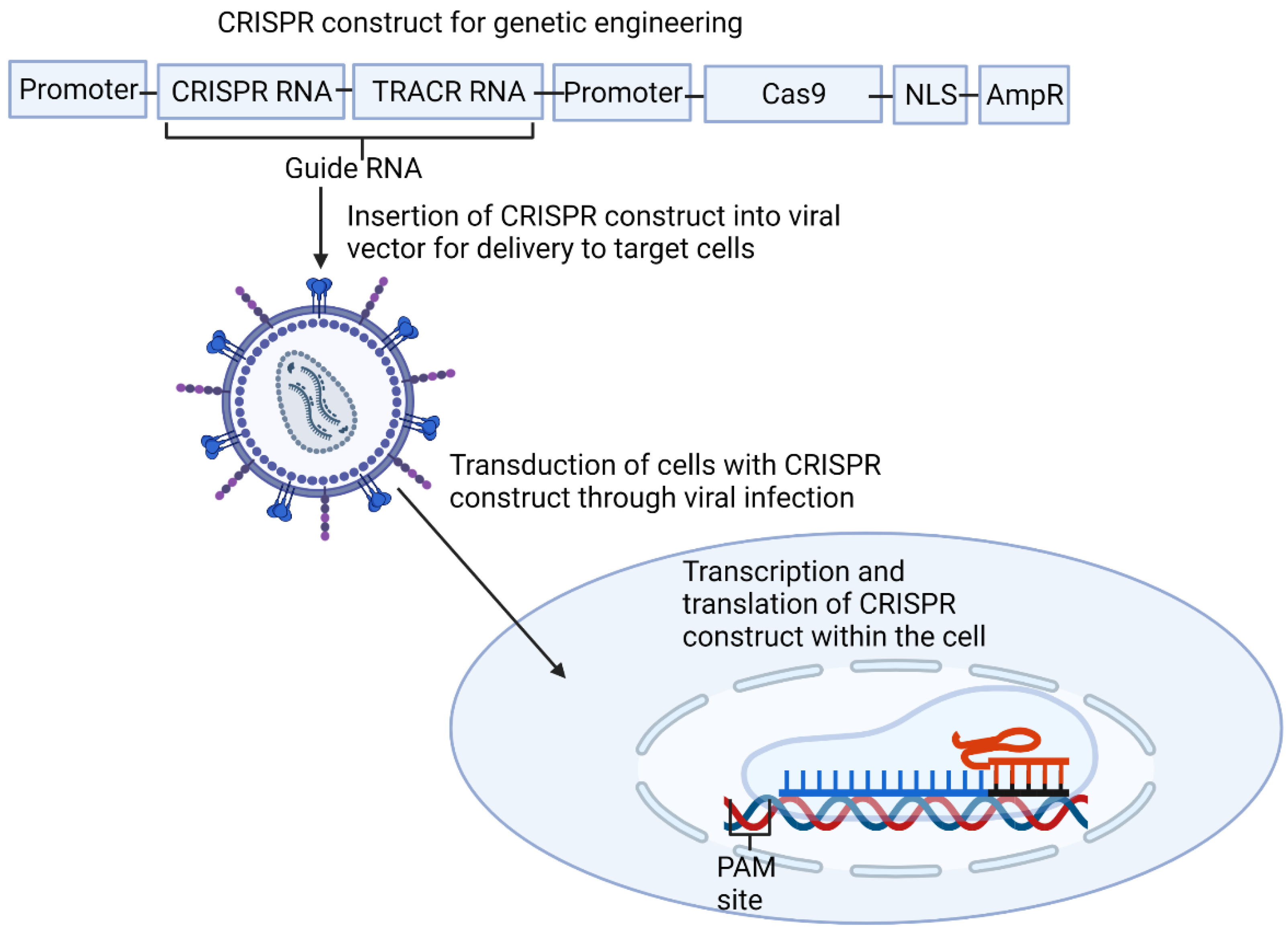 Metabolites 11 00857 g002