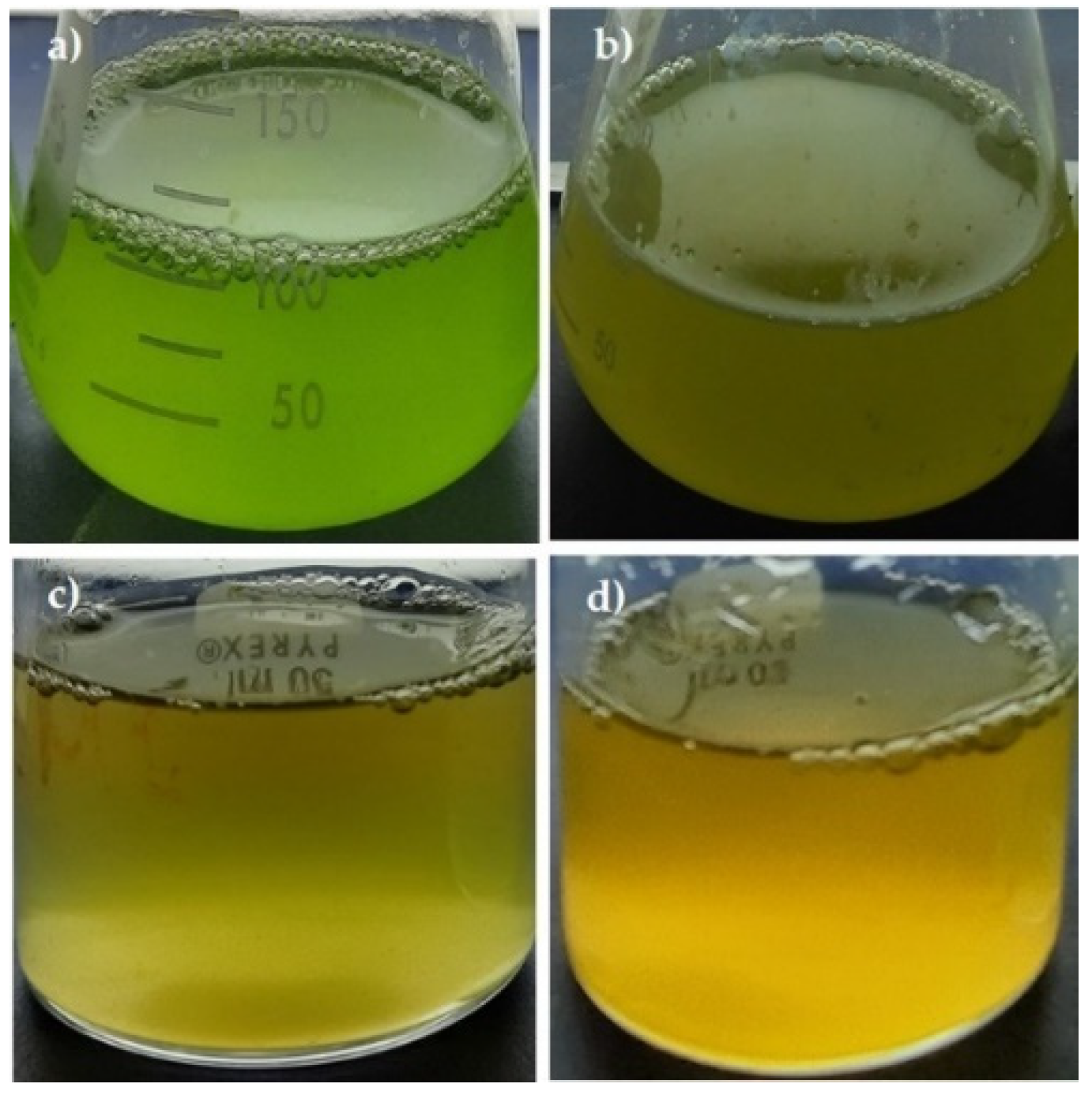 Metabolites 11 00866 g003