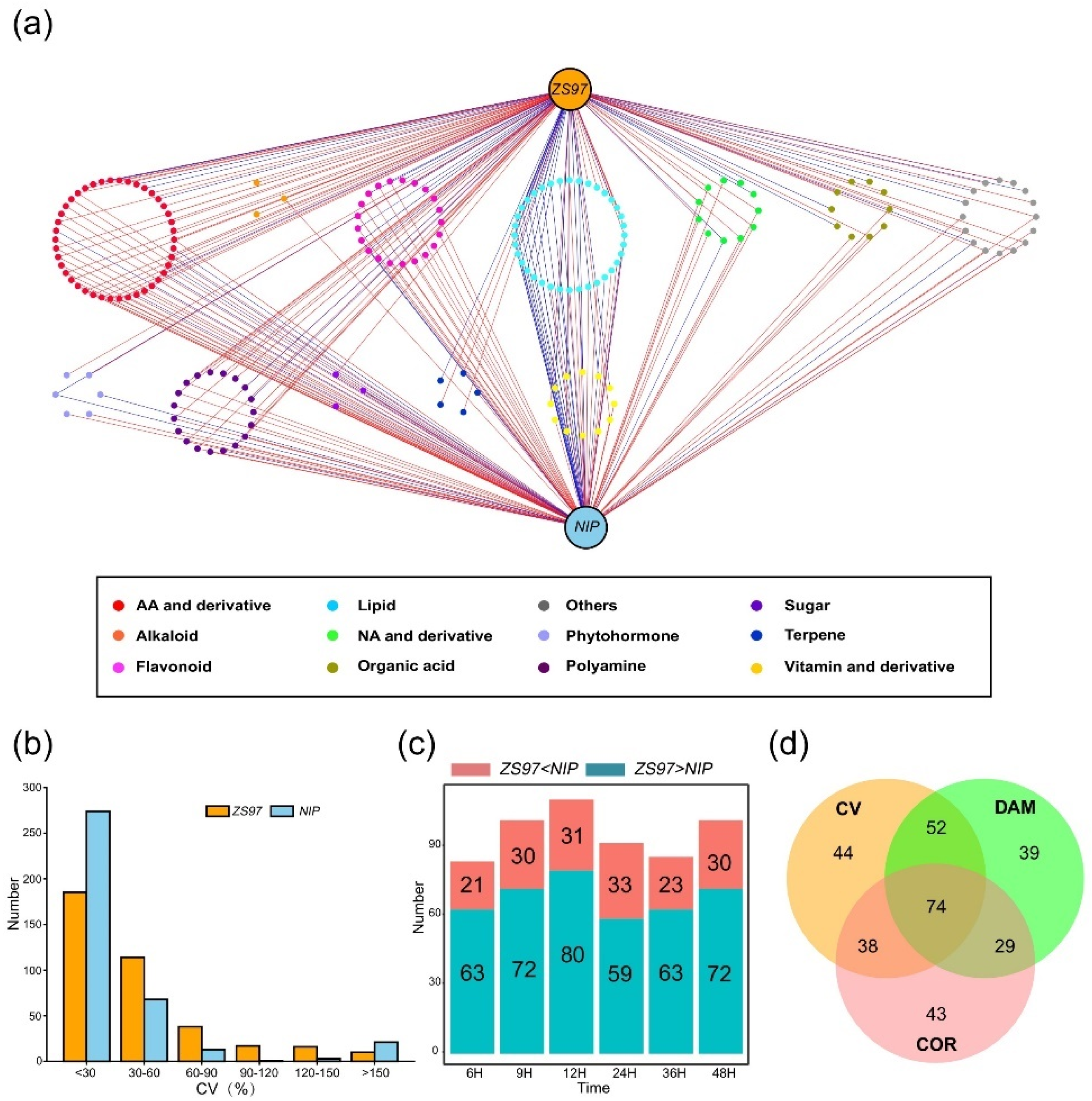 Metabolites 11 00880 g003 Metabolites 11 00880 g003