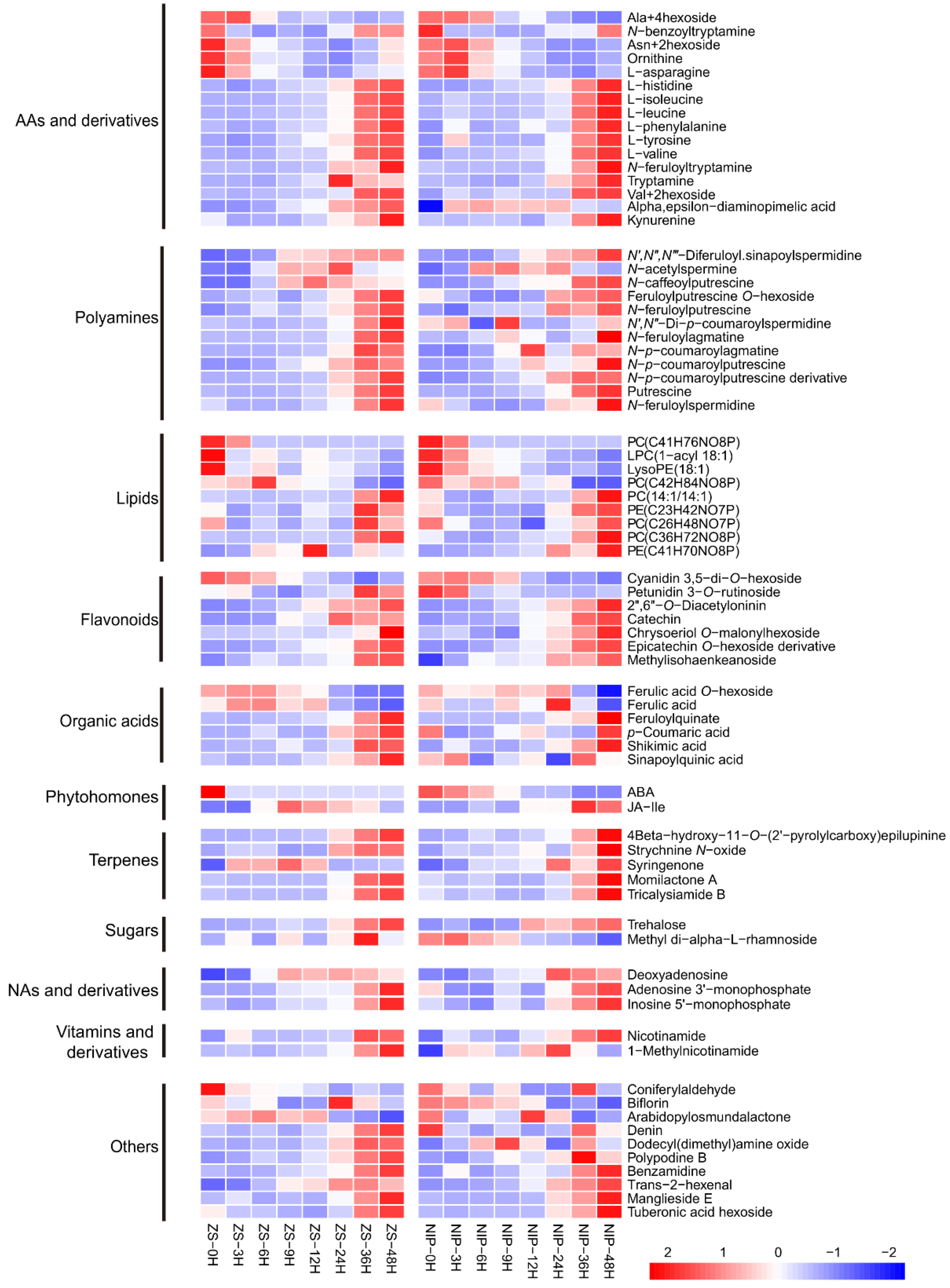 Metabolites 11 00880 g004 Metabolites 11 00880 g004