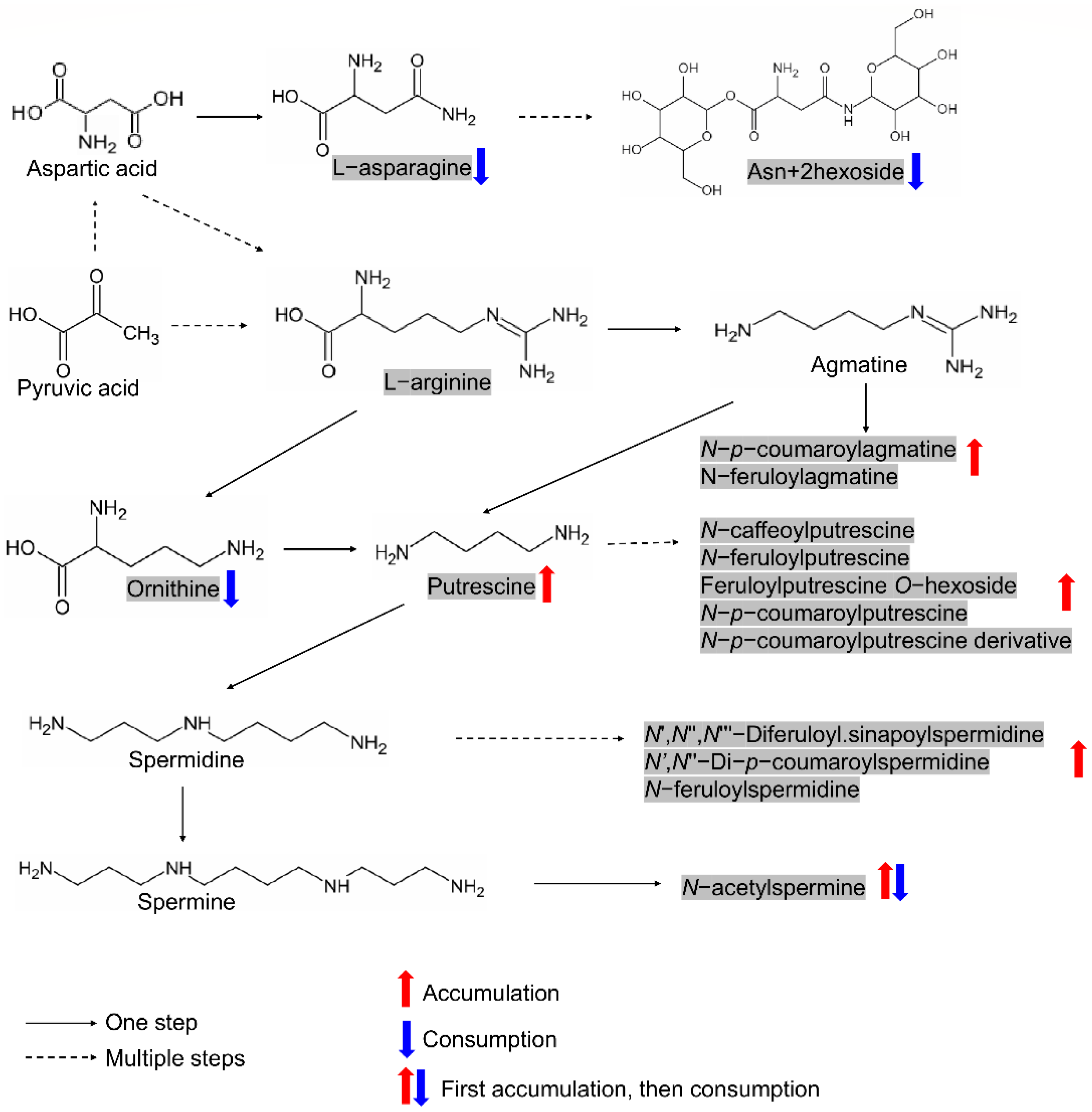 Metabolites 11 00880 g005 Metabolites 11 00880 g005